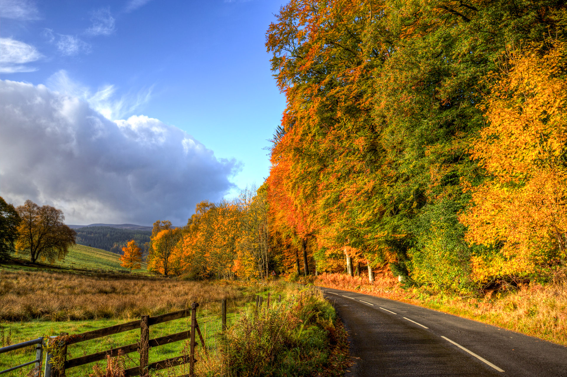 Dunkeld. Autumnal Tour around Perthshire 19 October 2024