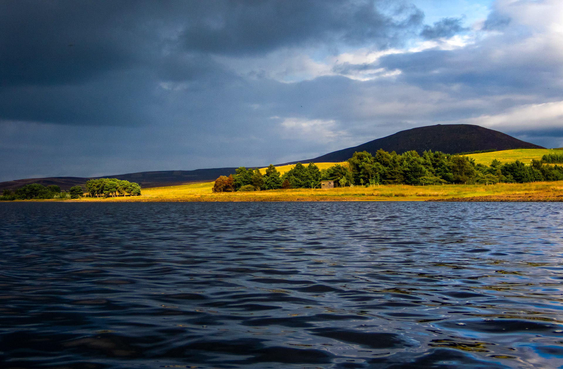 Harperrig 03 Aug 2023