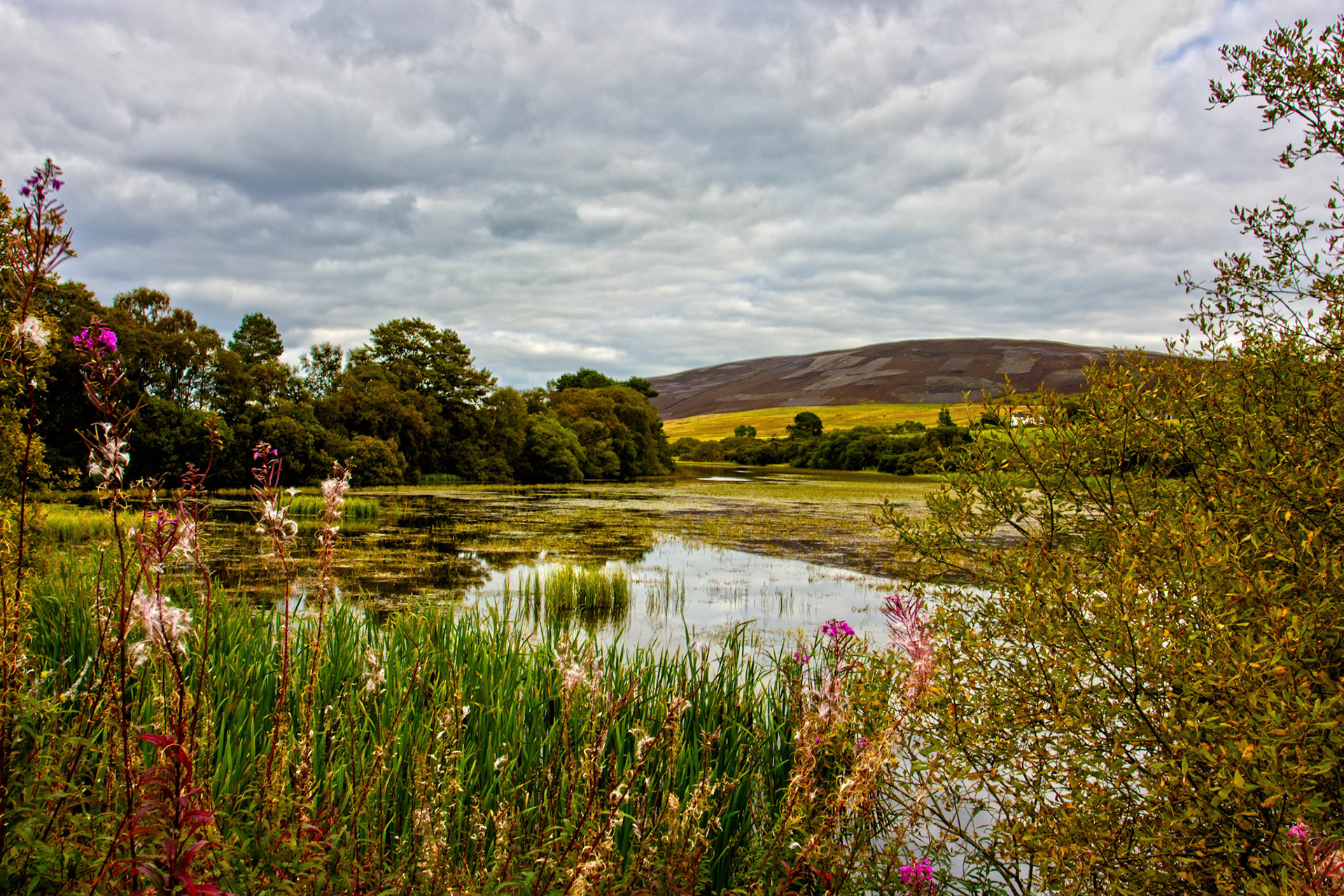 Bavelaw 24 Sept 2025