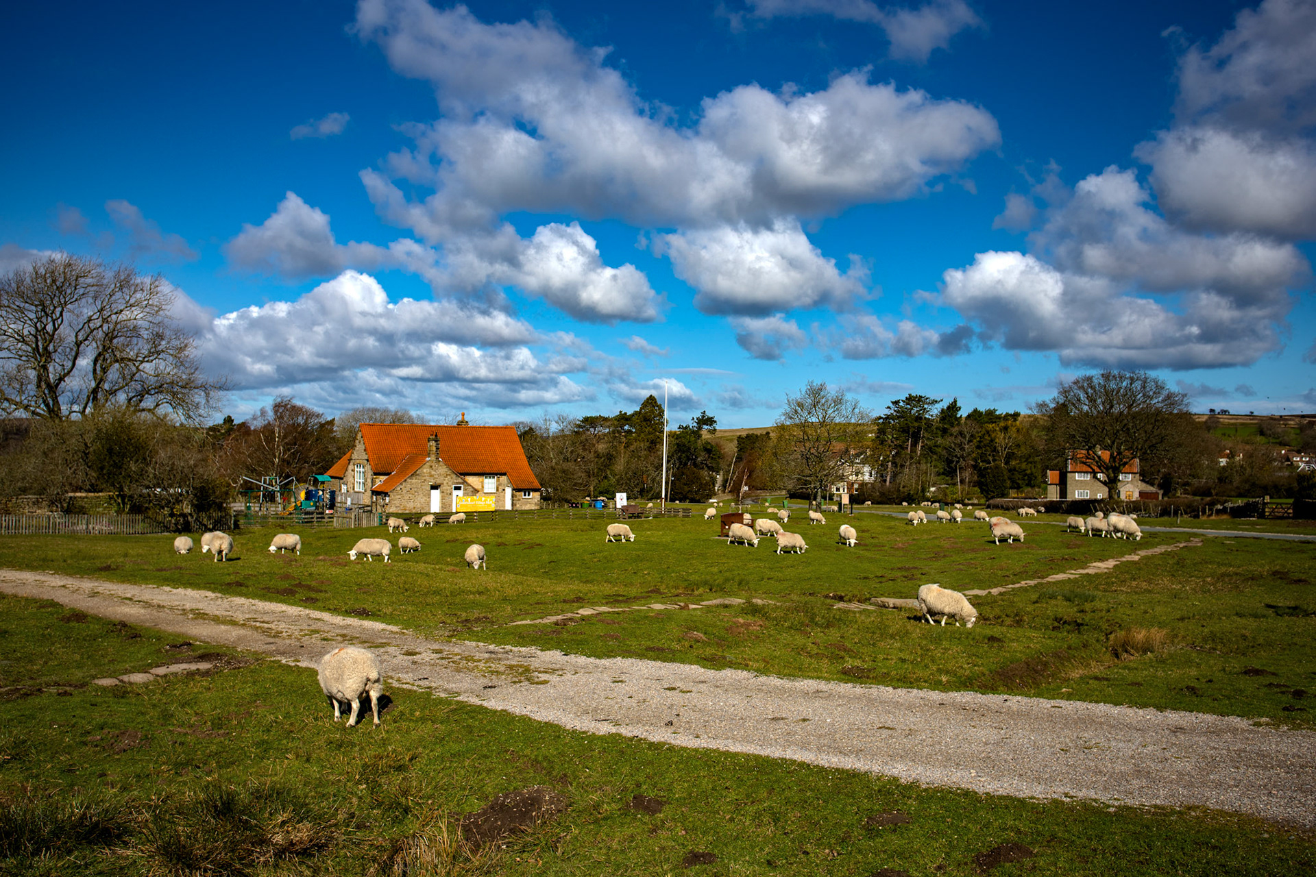 Goathland - North York Moors 25 March 2026