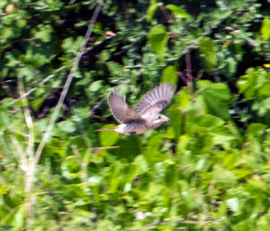 AlcudiaPlease see my other Photographs at: www.jamespdeans.co.uk