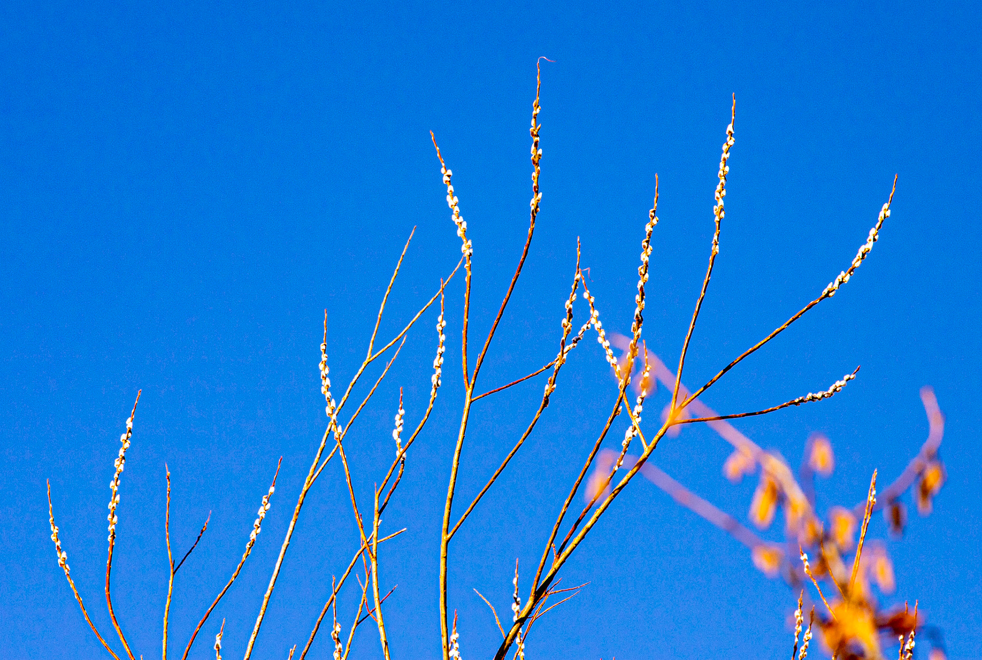 Korean War Memorial 18 January 2024