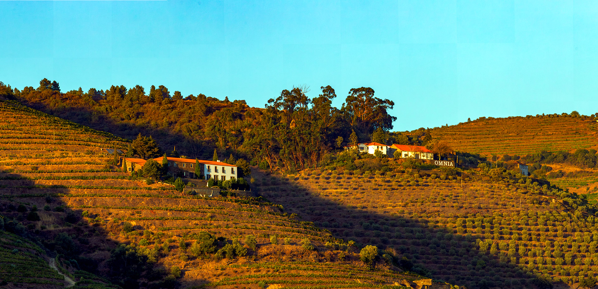 Douro cruise 21 August 2026