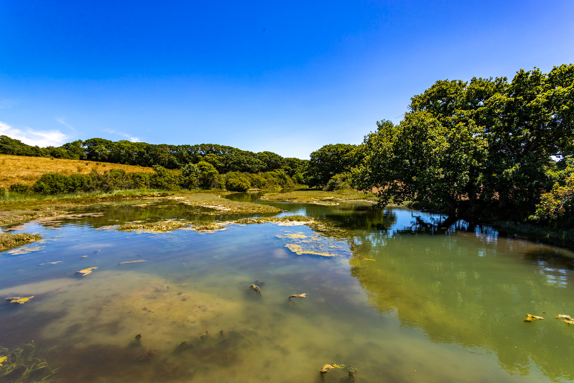 Causeway Lake Bridge IOW 14 July 2022