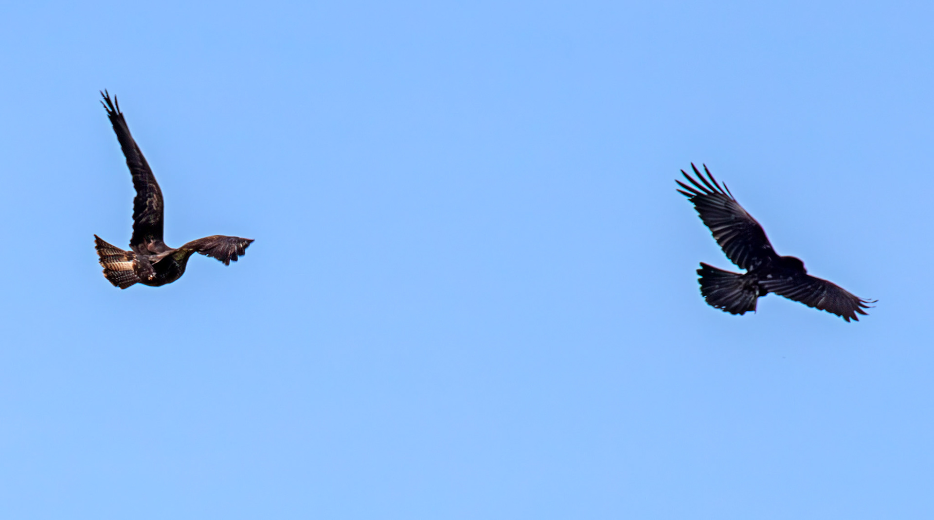Petershill Wildlife Reserve 15 May 2025