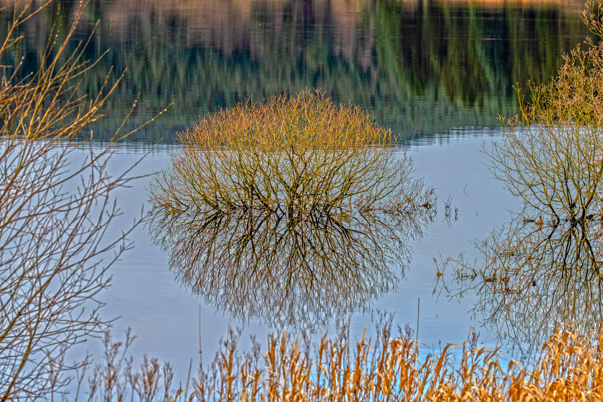 Carron Valley Reservoir 28 February 2026