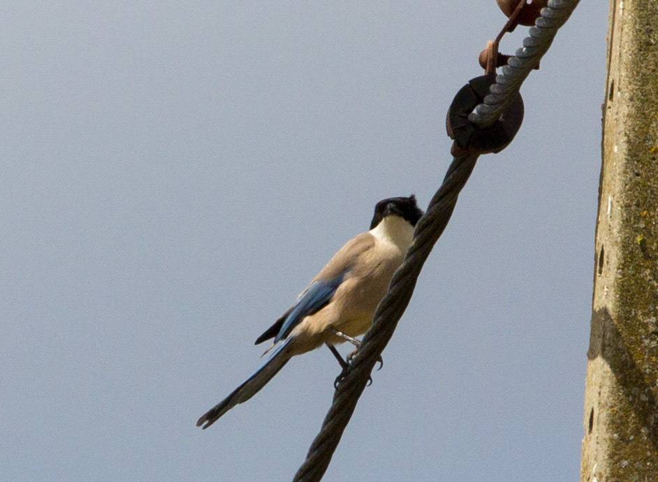 Eastern AlgarvePlease see my other Photographs at: http://www.jamespdeans.co.uk/
