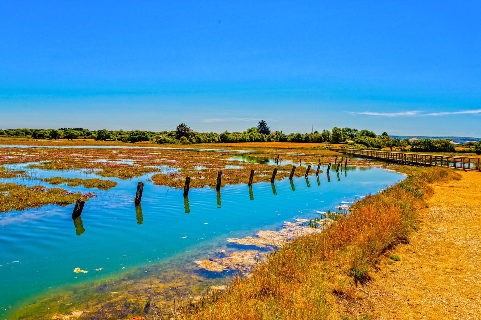 Newtown IOW 14 July 2022