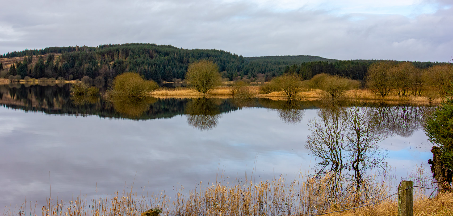 Carron Valley Reservoir 28 February 2026