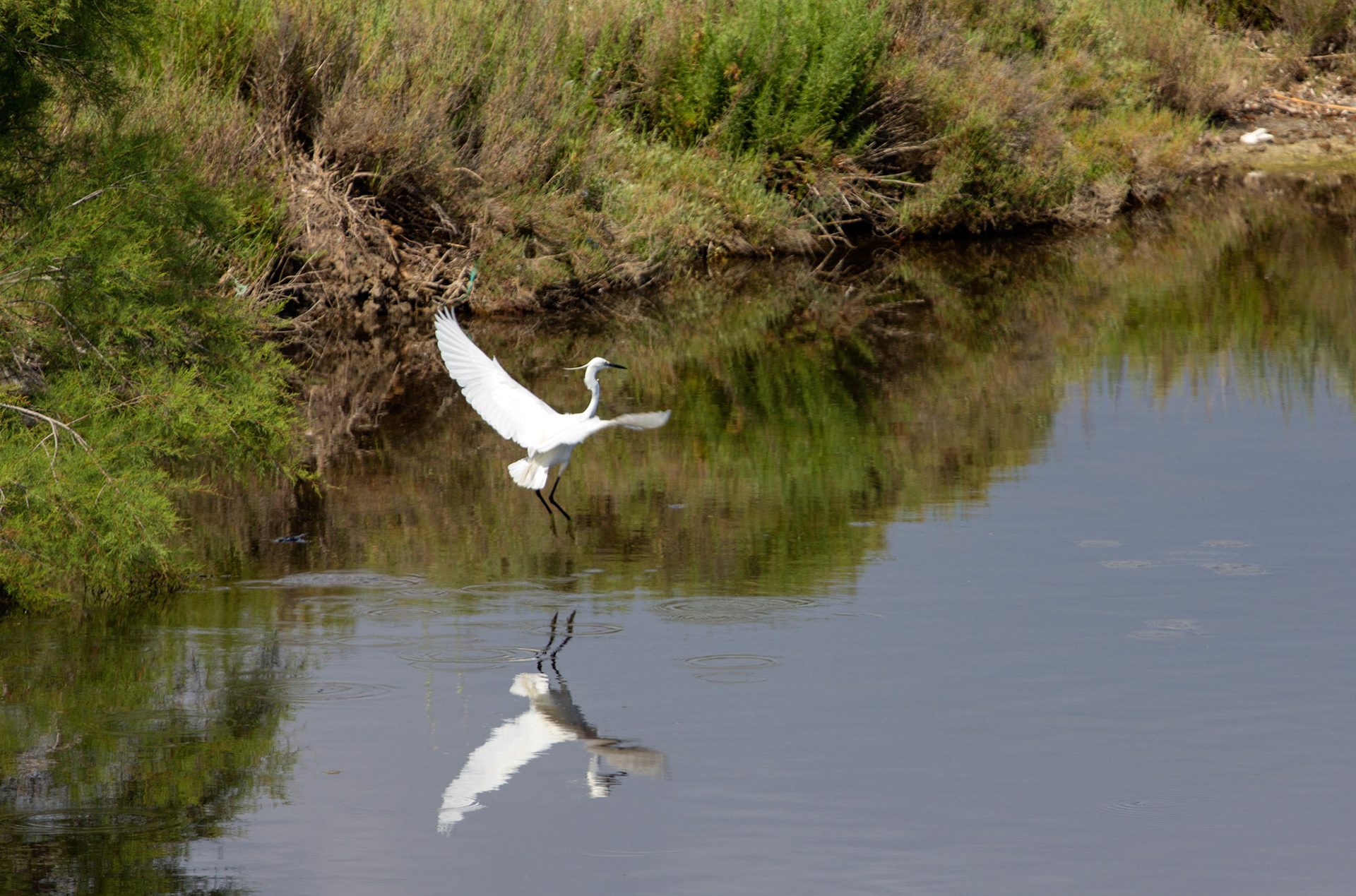 AlcudiaPlease see my other Photographs at: www.jamespdeans.co.uk