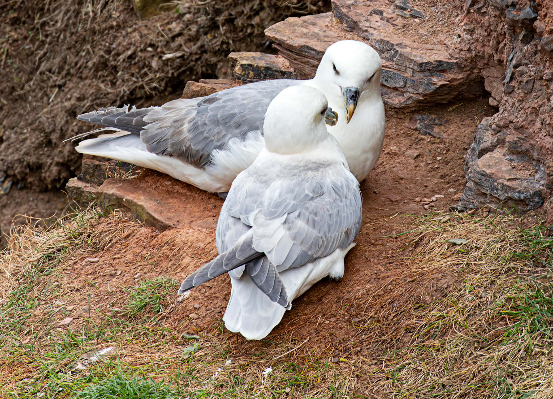 Duncansby Head 03 May 2026