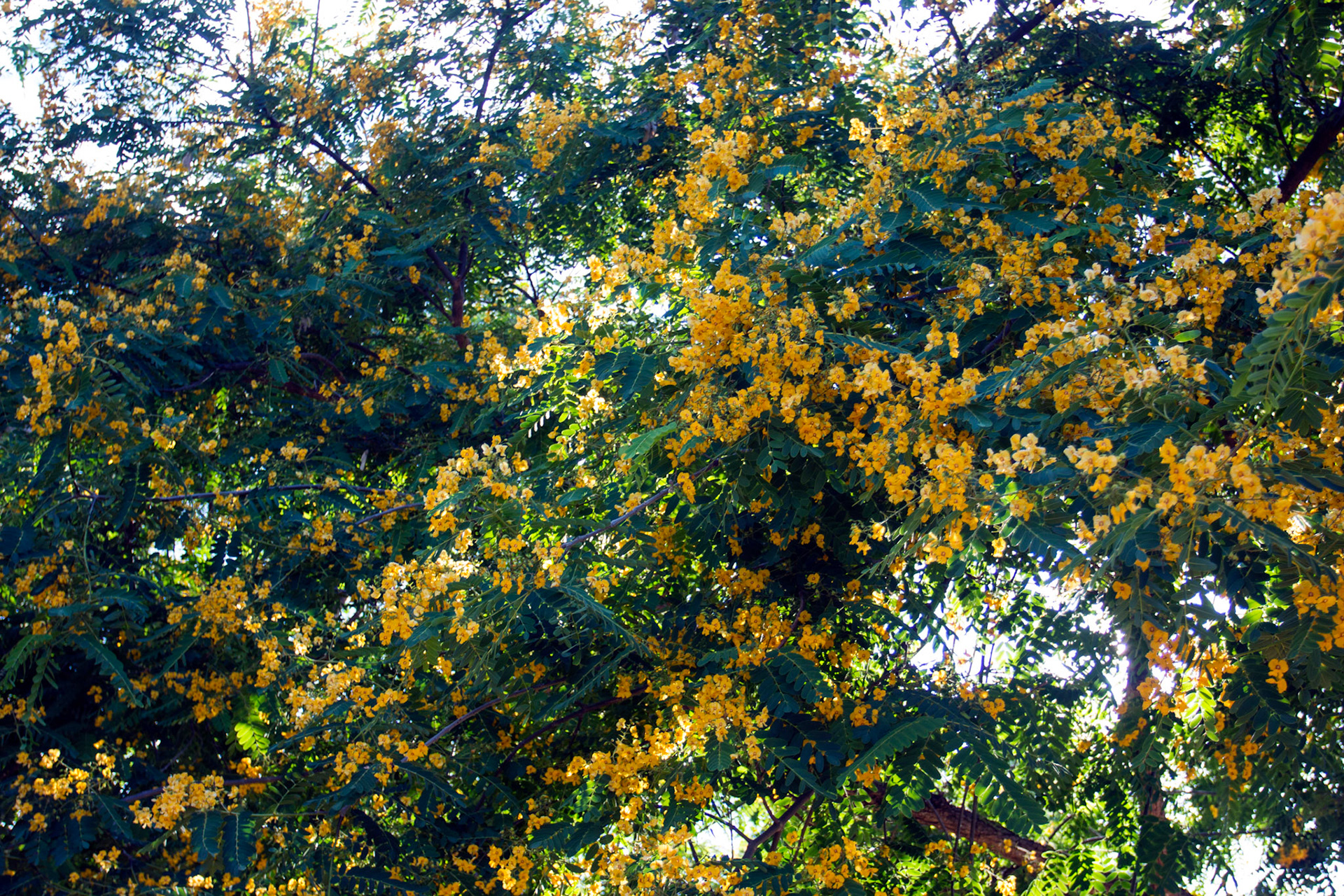 AlcudiaPlease see my other Photographs at: www.jamespdeans.co.uk