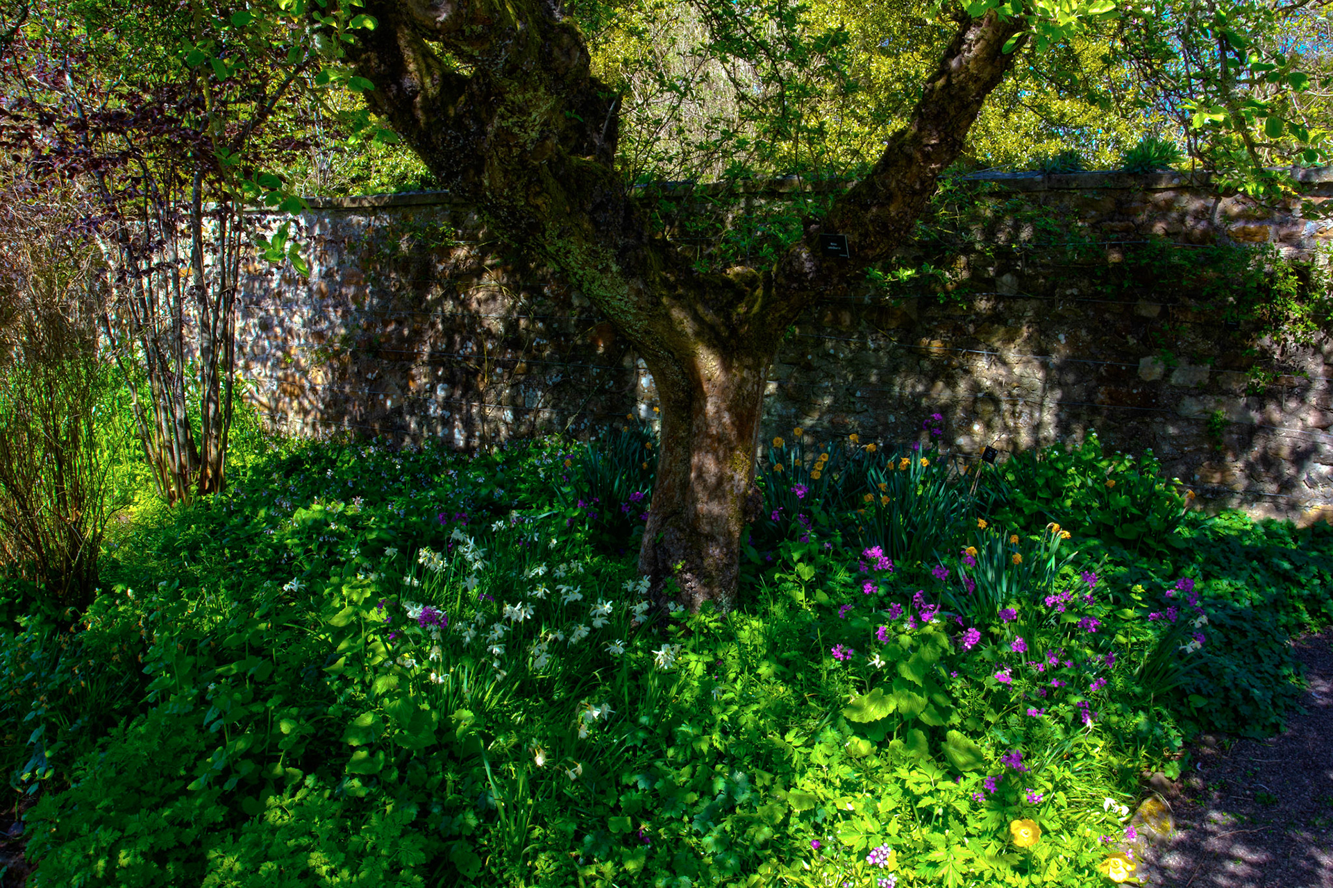 Malleny Gardens, Balerno 27 April 2026