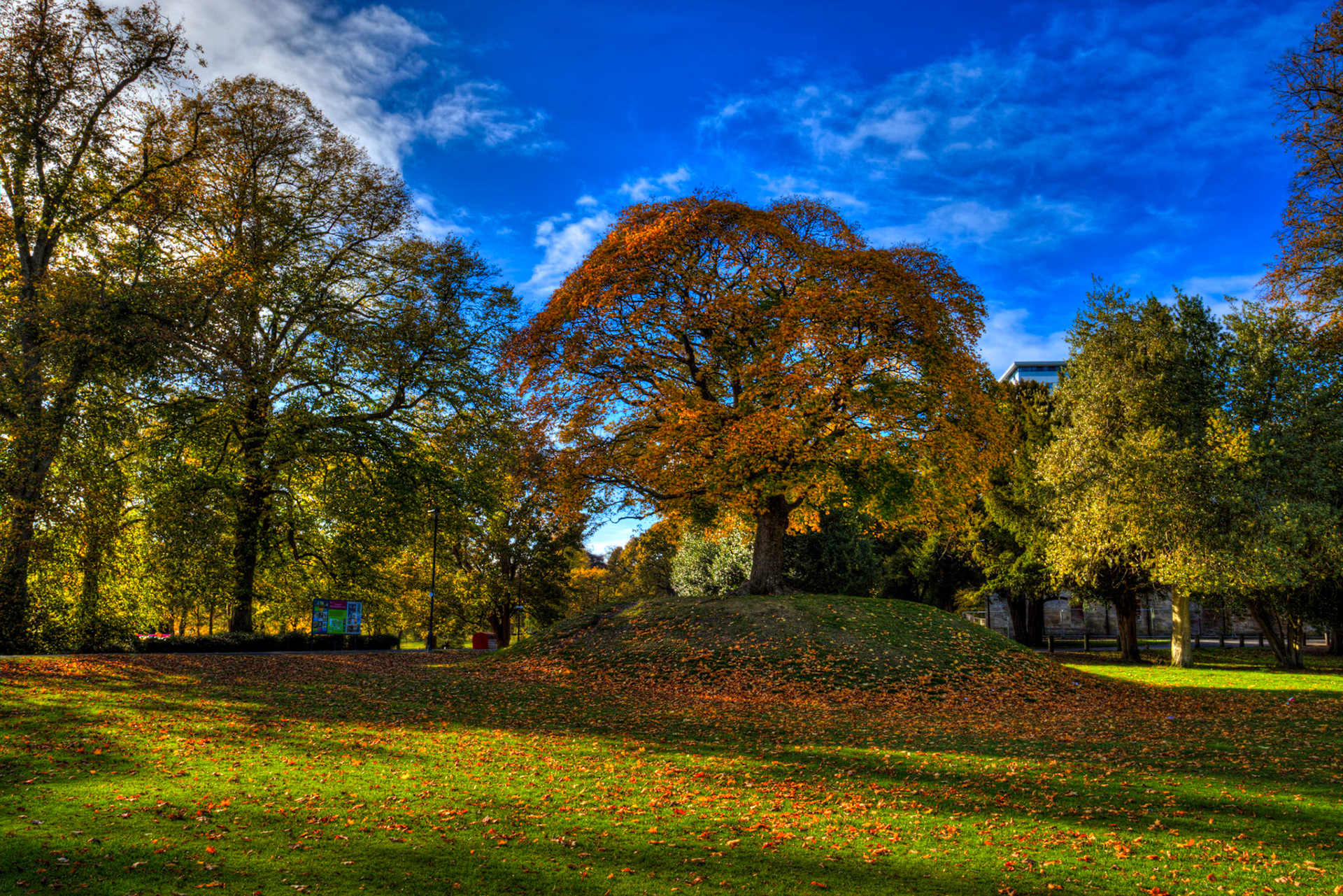 Callendar Park, Falkirk 11 October 2025