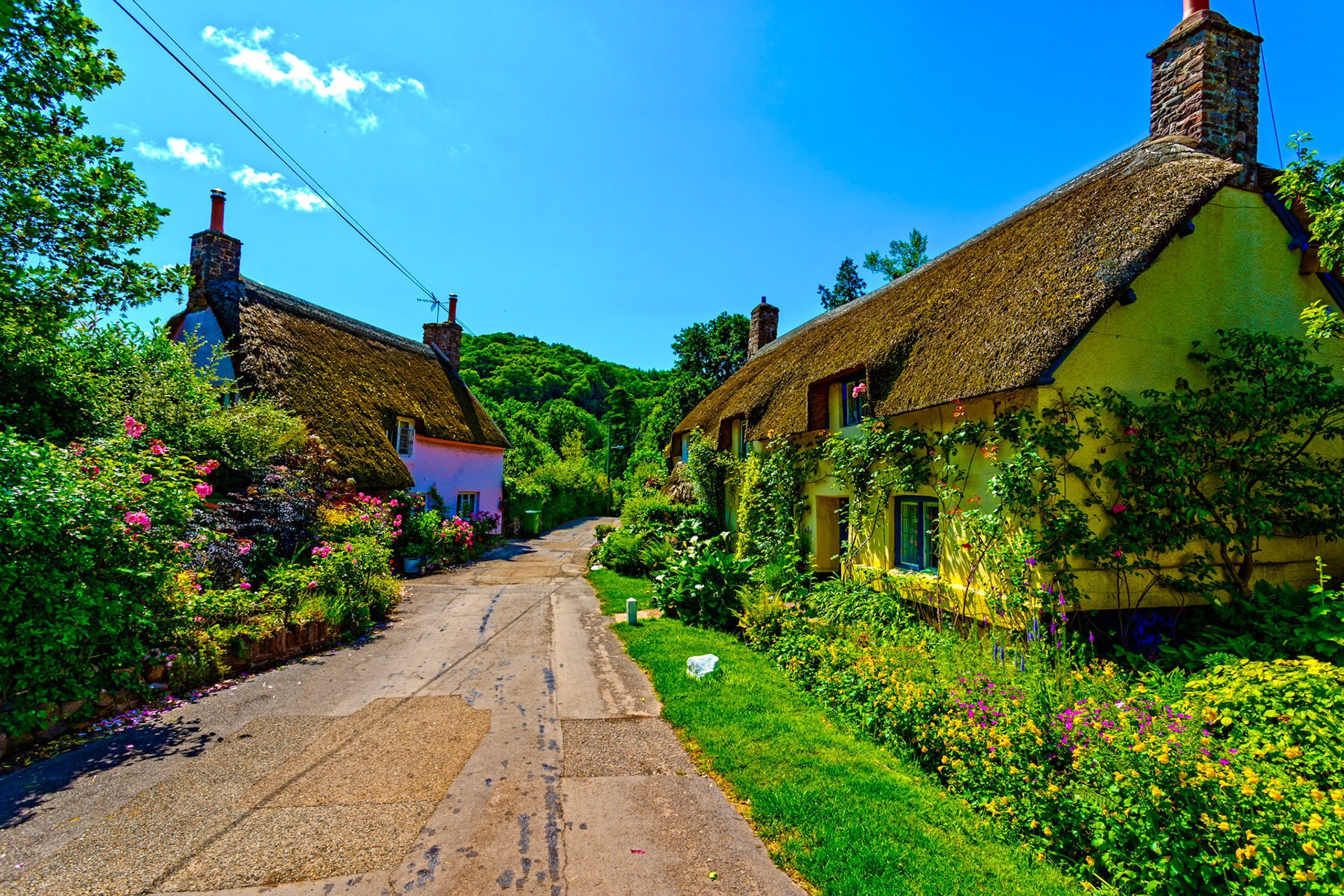 Dunster 22 June 2023