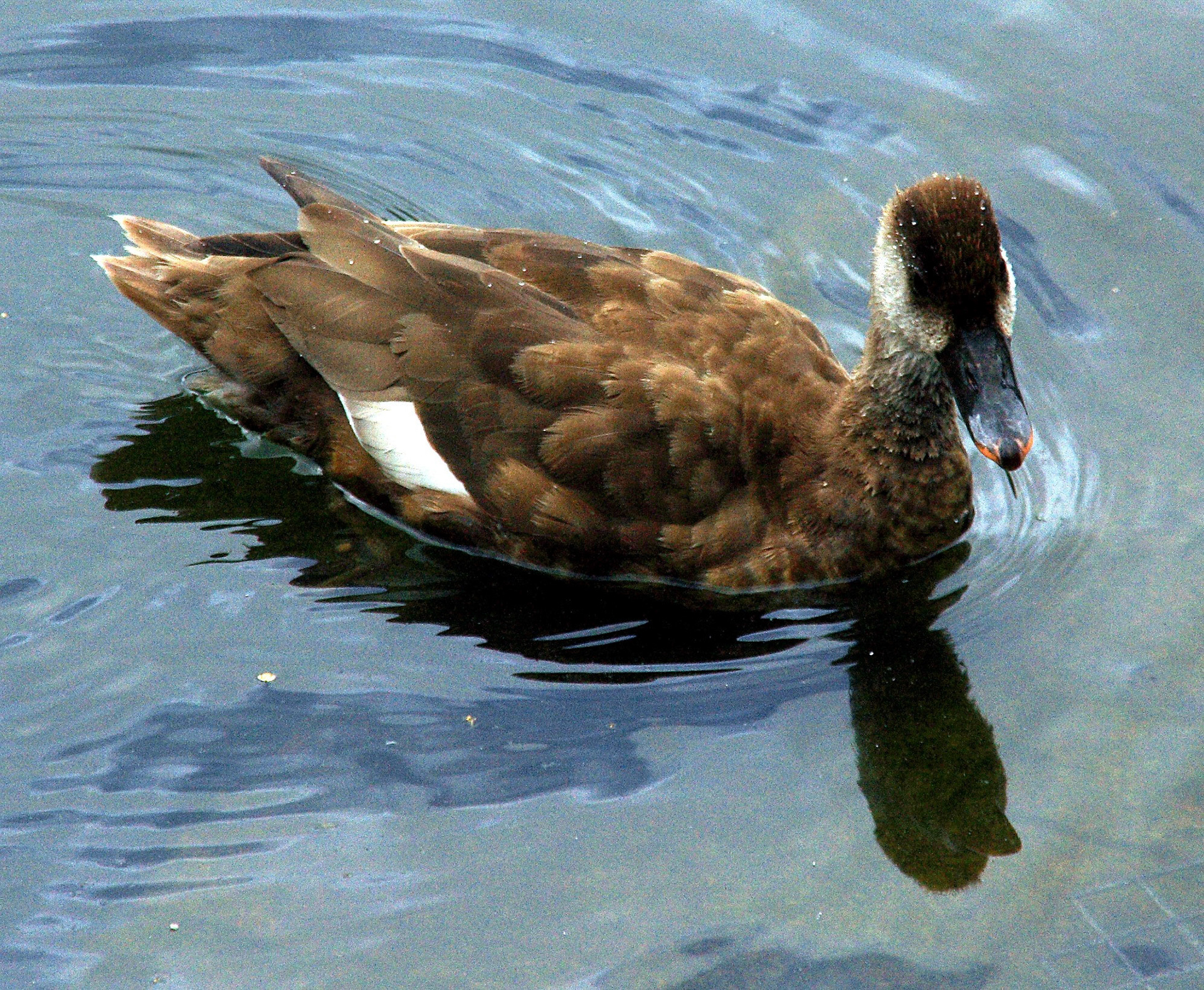 LondonPlease see my other Photographs at: http://www.jamespdeans.co.uk/