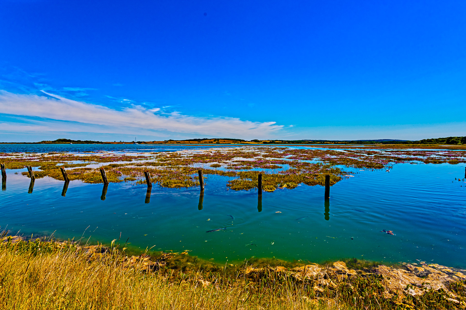 Mullet Spawning at Newtown IOW 14 July 2022