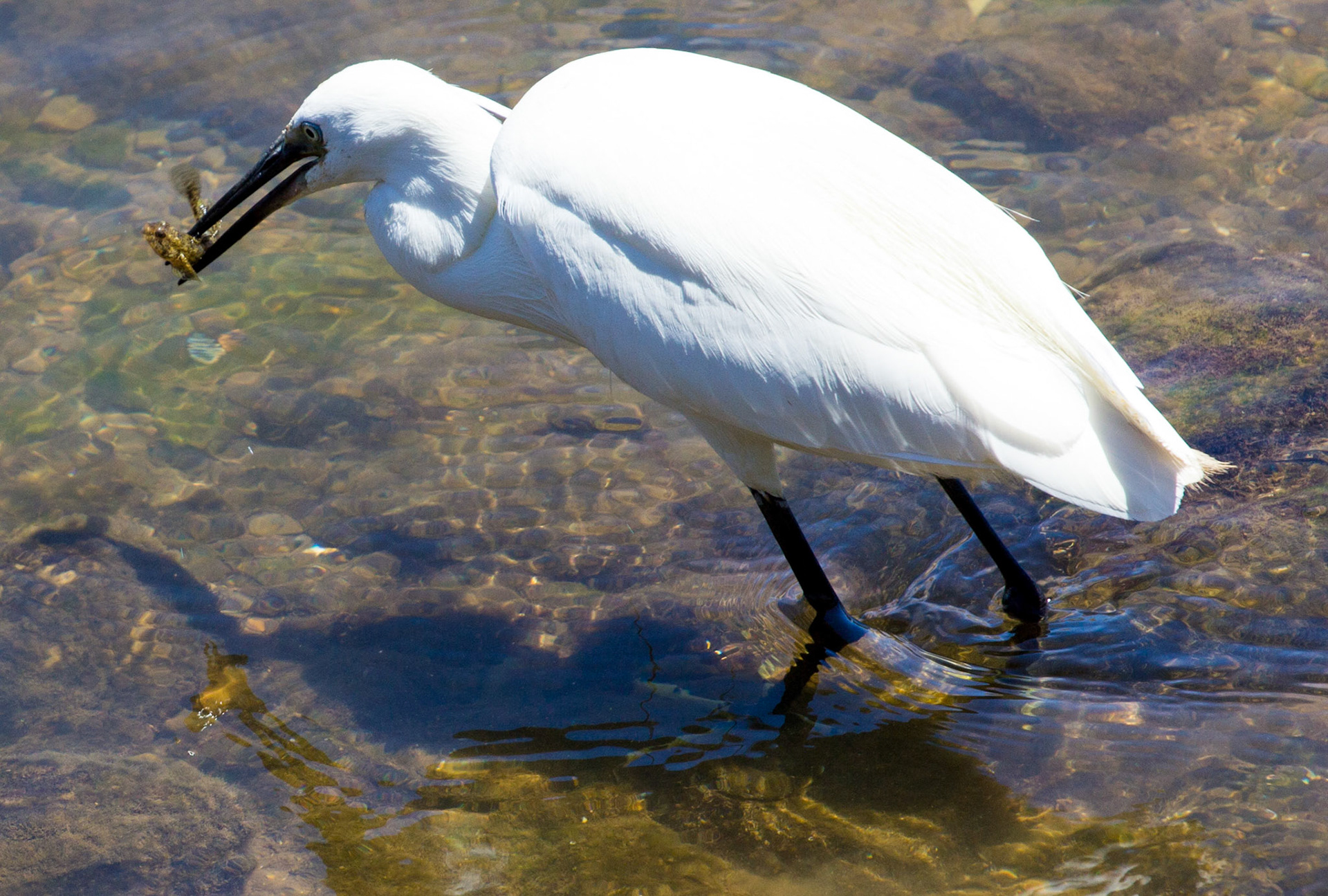 Eastern AlgarvePlease see my other Photographs at: http://www.jamespdeans.co.uk/
