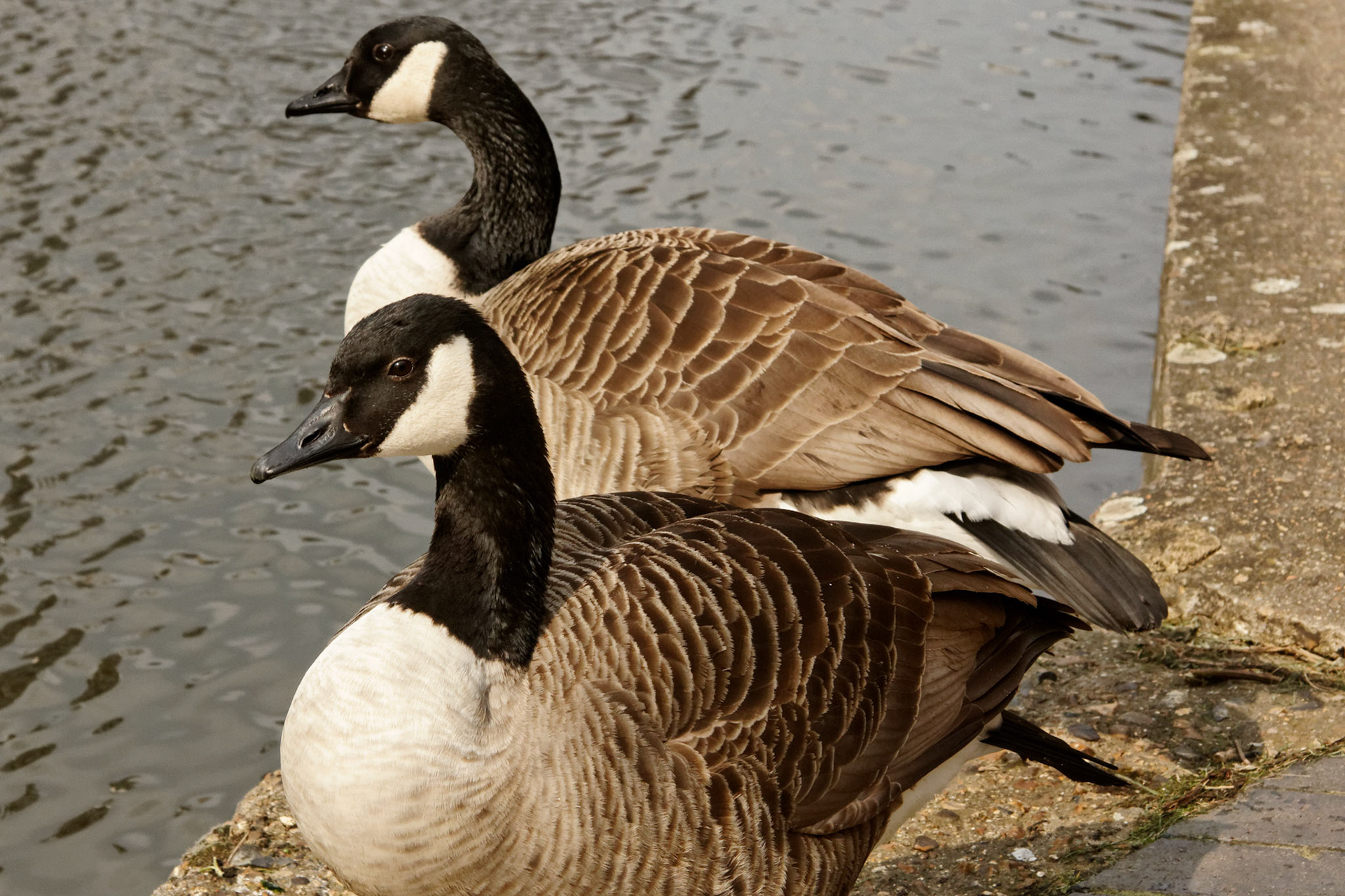 LondonPlease see my other Photographs at: http://www.jamespdeans.co.uk/