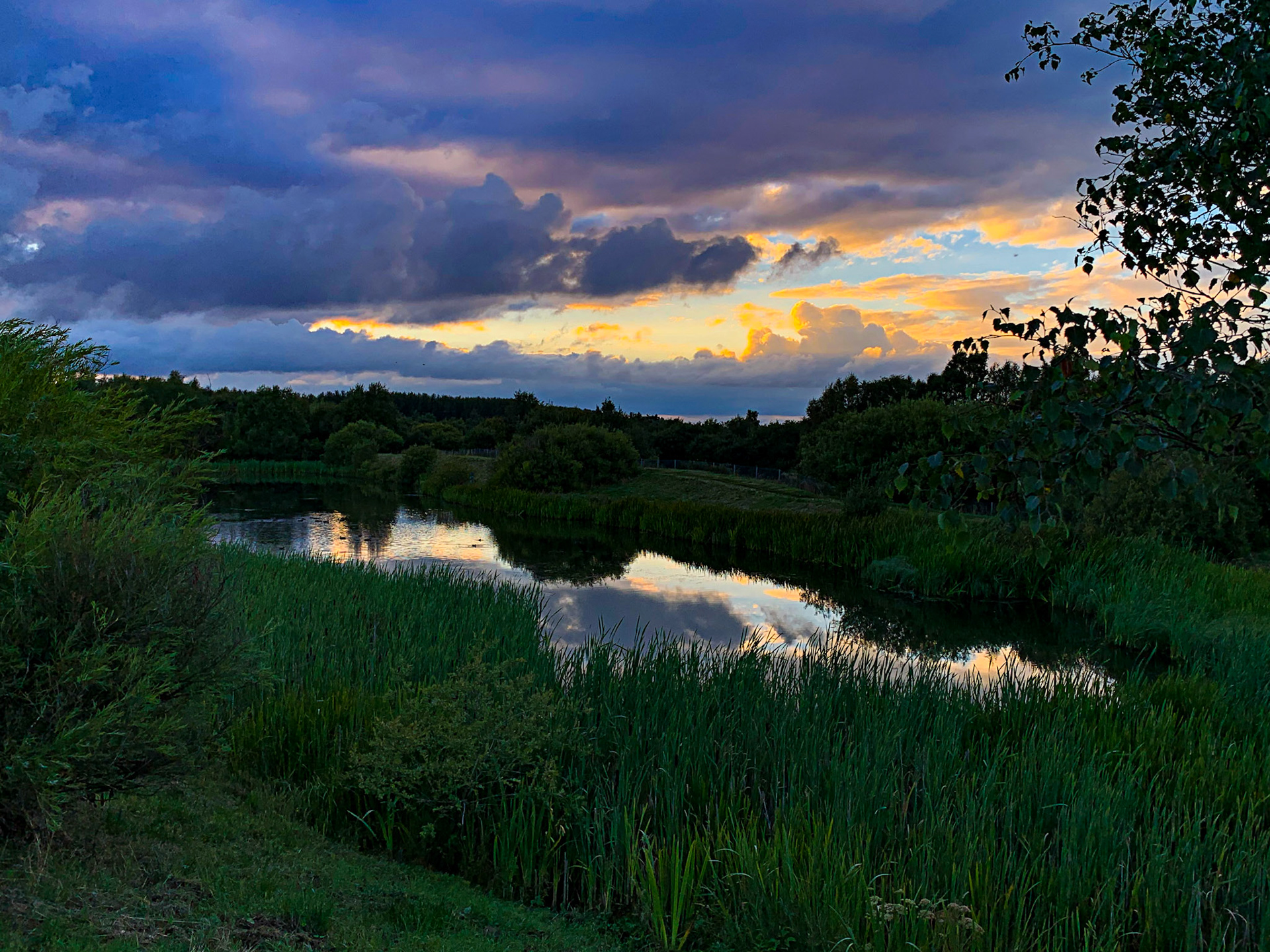 Wester Inch Ponds, Bathgate