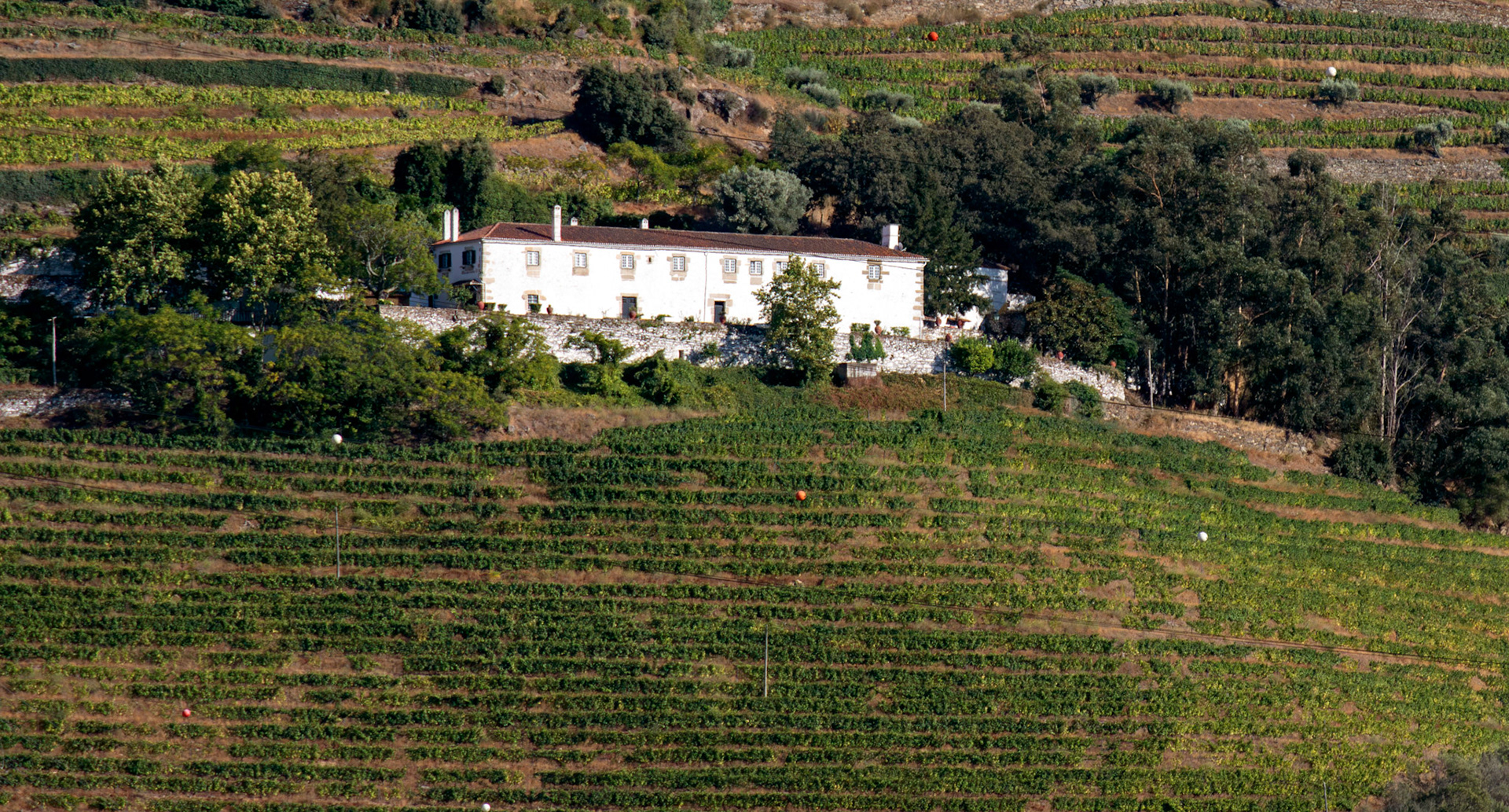 Douro cruise 21 August 2026