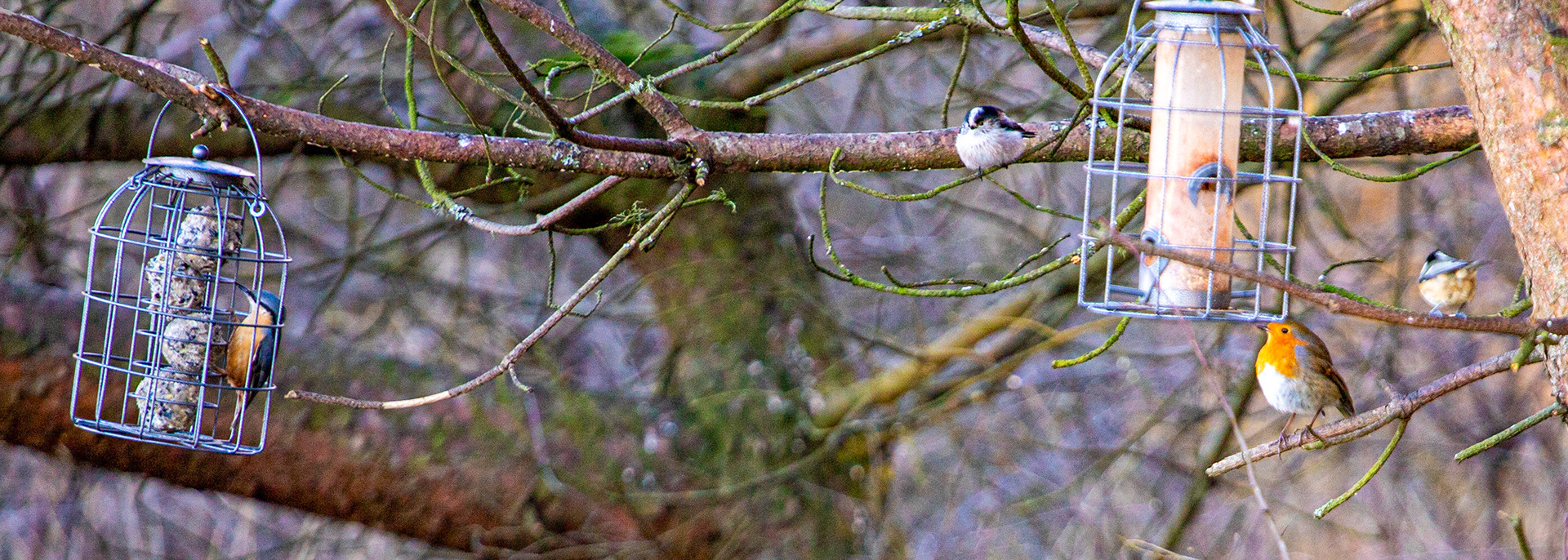 Korean War Memorial 18 January 2024