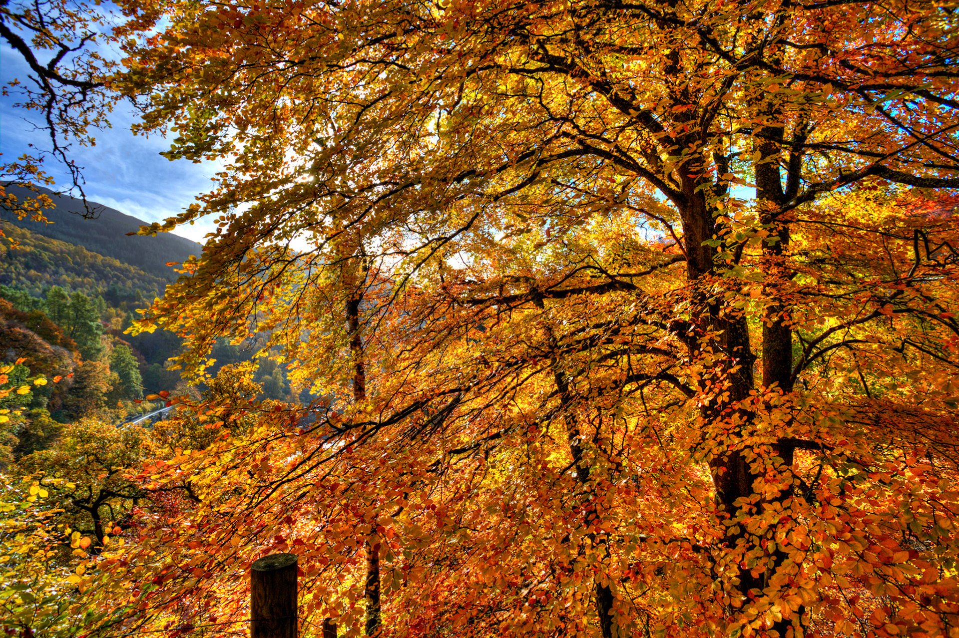 Killiecrankie. Autumnal Tour around Perthshire 19 October 2024