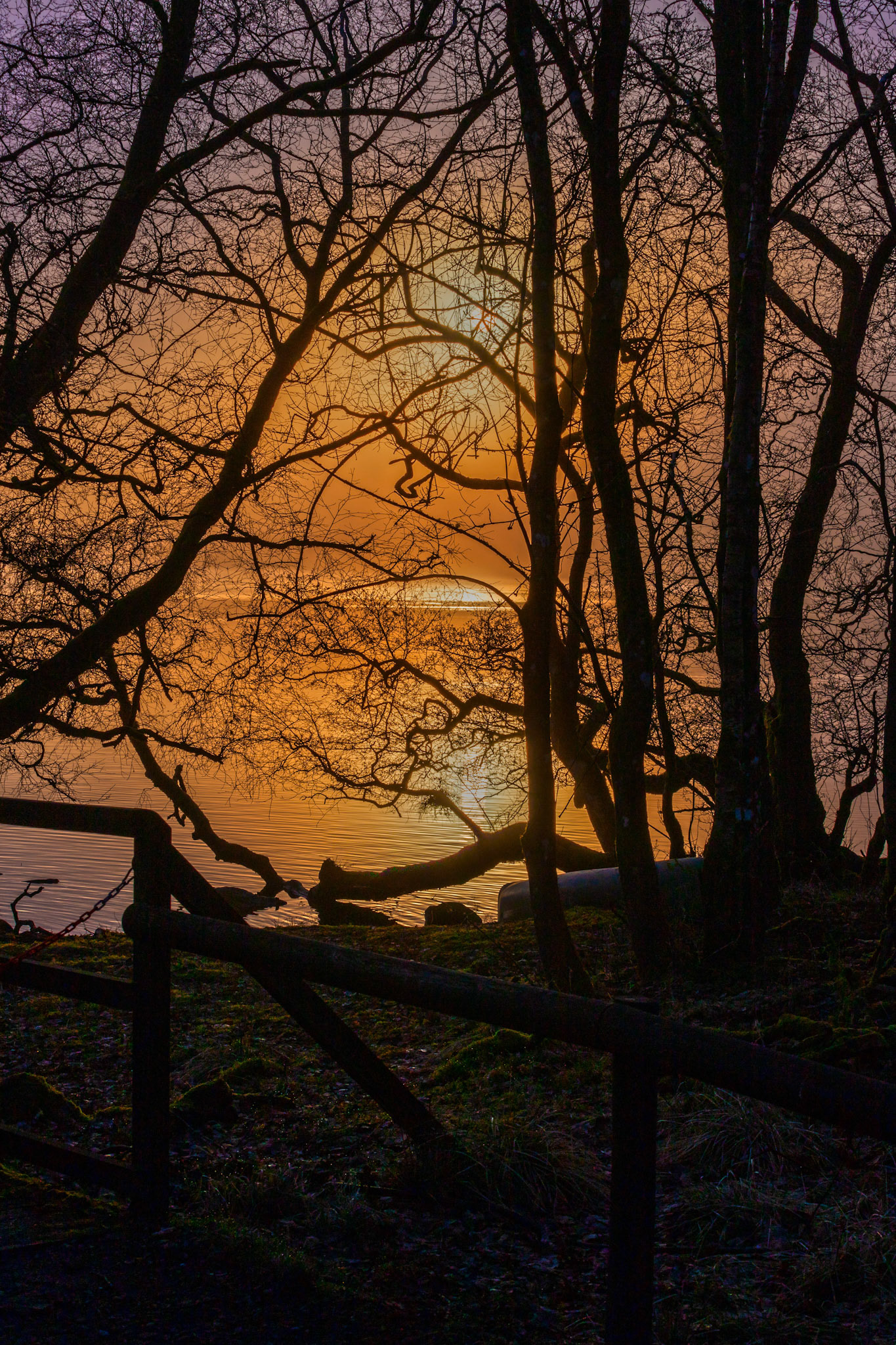 Sunrise atLoch o' the Lowes - Day Out 01 March 2024