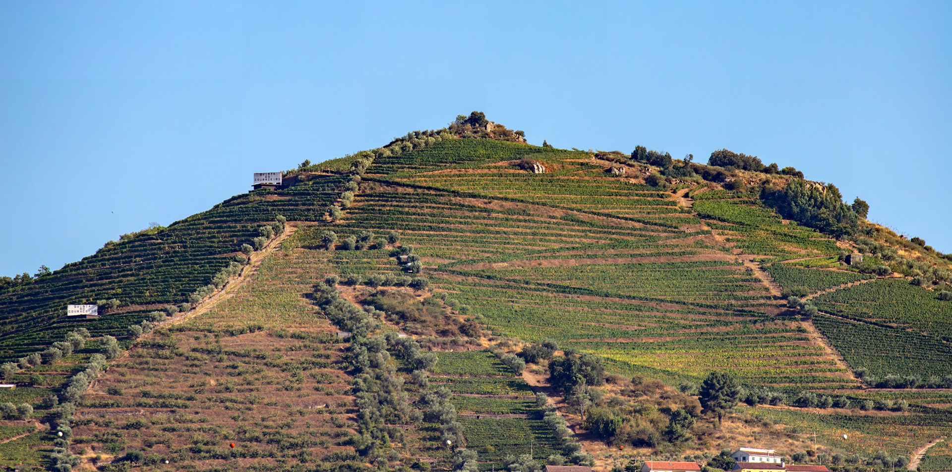 Douro cruise 21 August 2026
