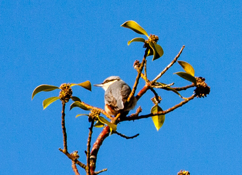 Durham 04 to  07 May 2018Please see my other Photographs at: www.jamespdeans.co.uk