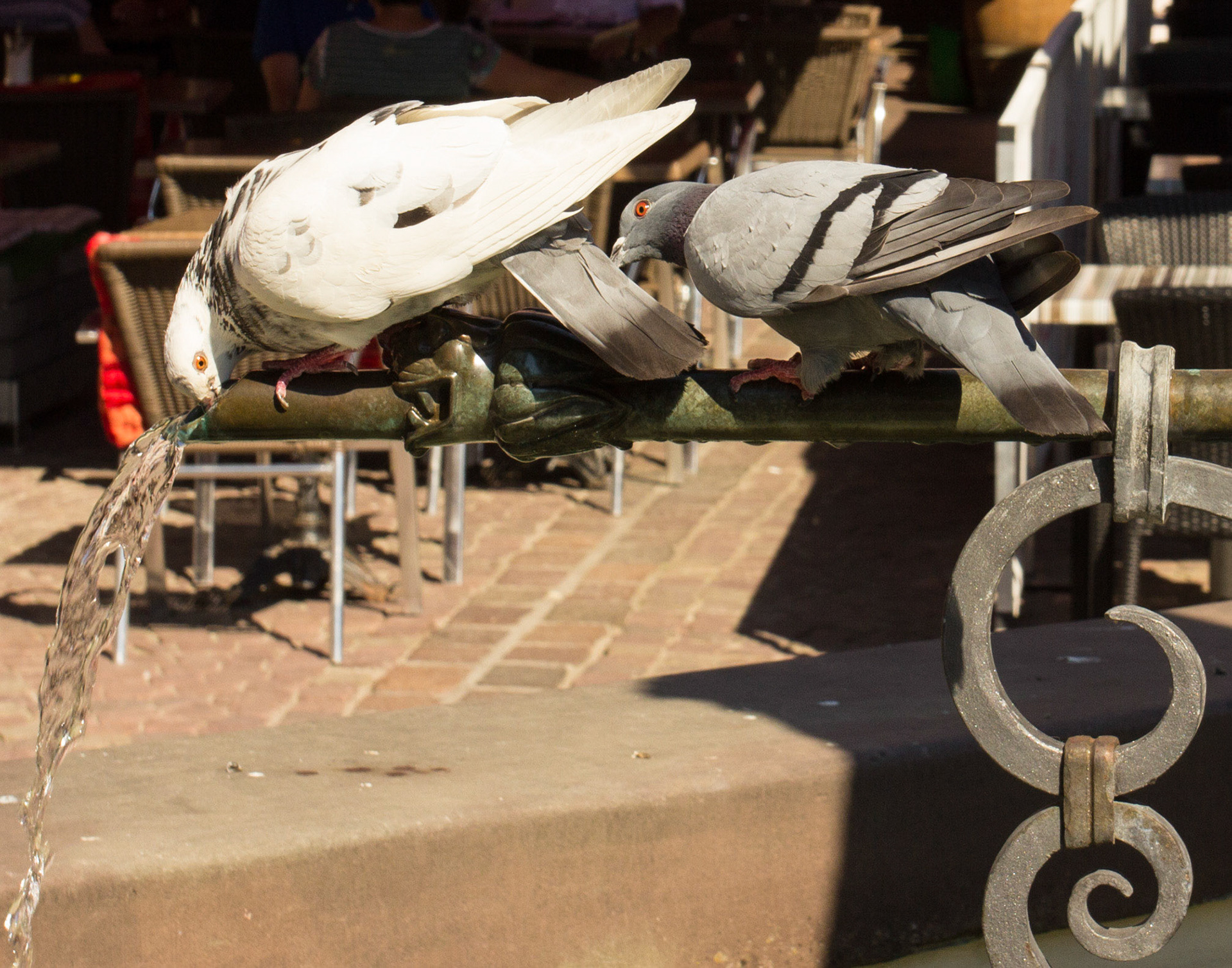 MulhousePlease see my other Photographs at: http://www.jamespdeans.co.uk/