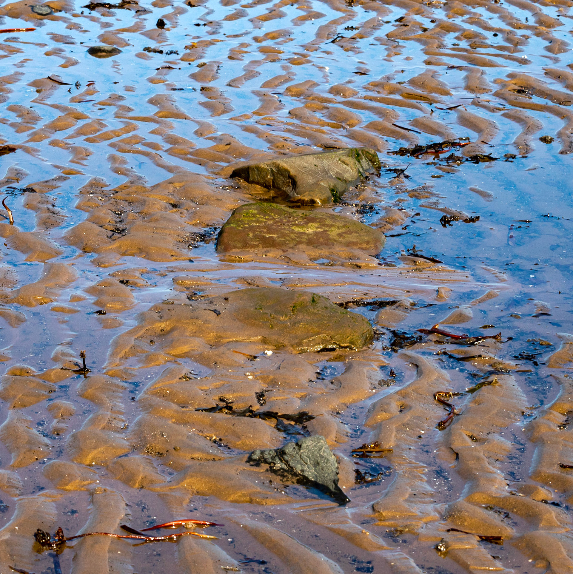 Portobello 19 April 2022