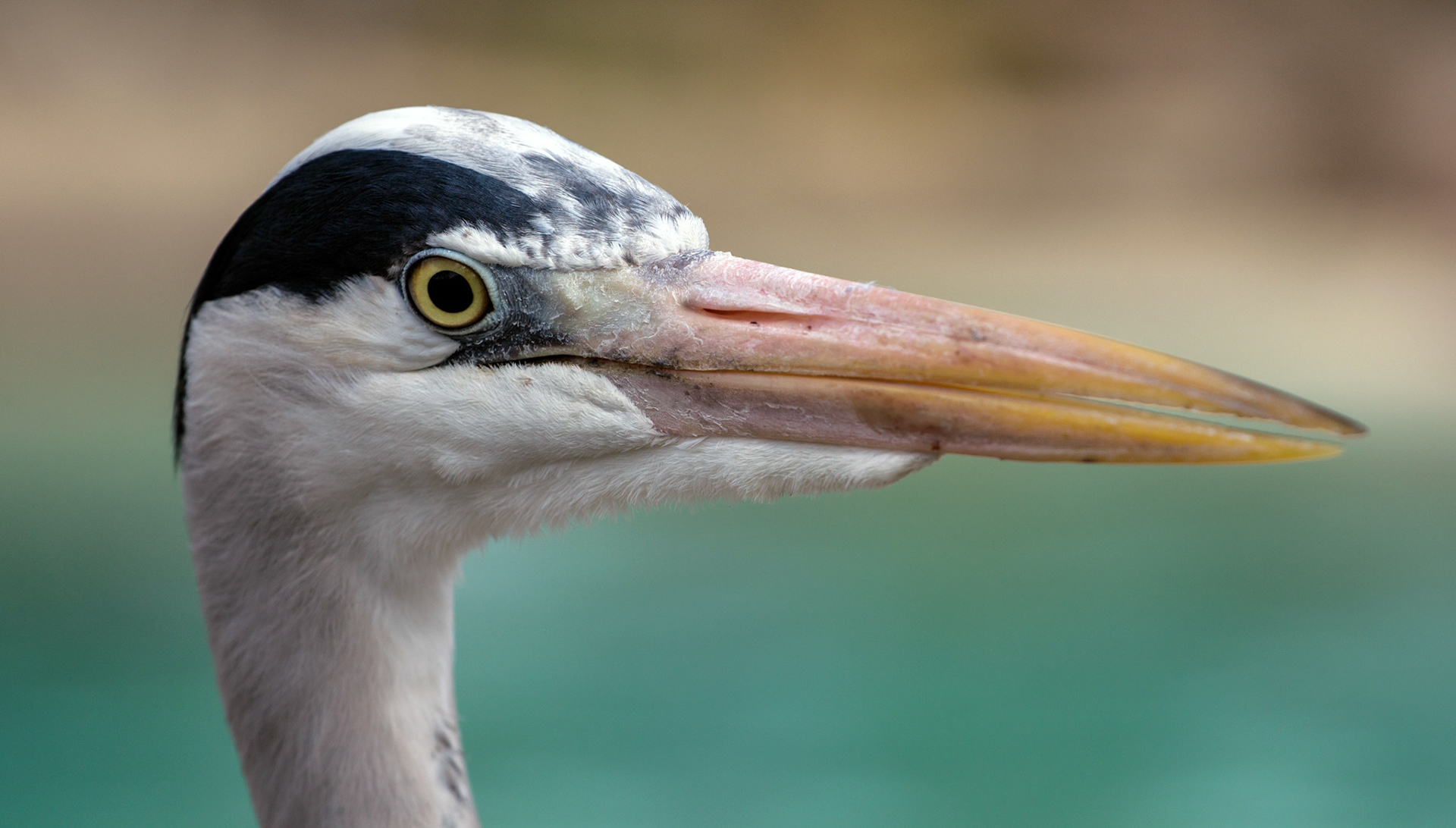 LondonPlease see my other Photographs at: http://www.jamespdeans.co.uk/