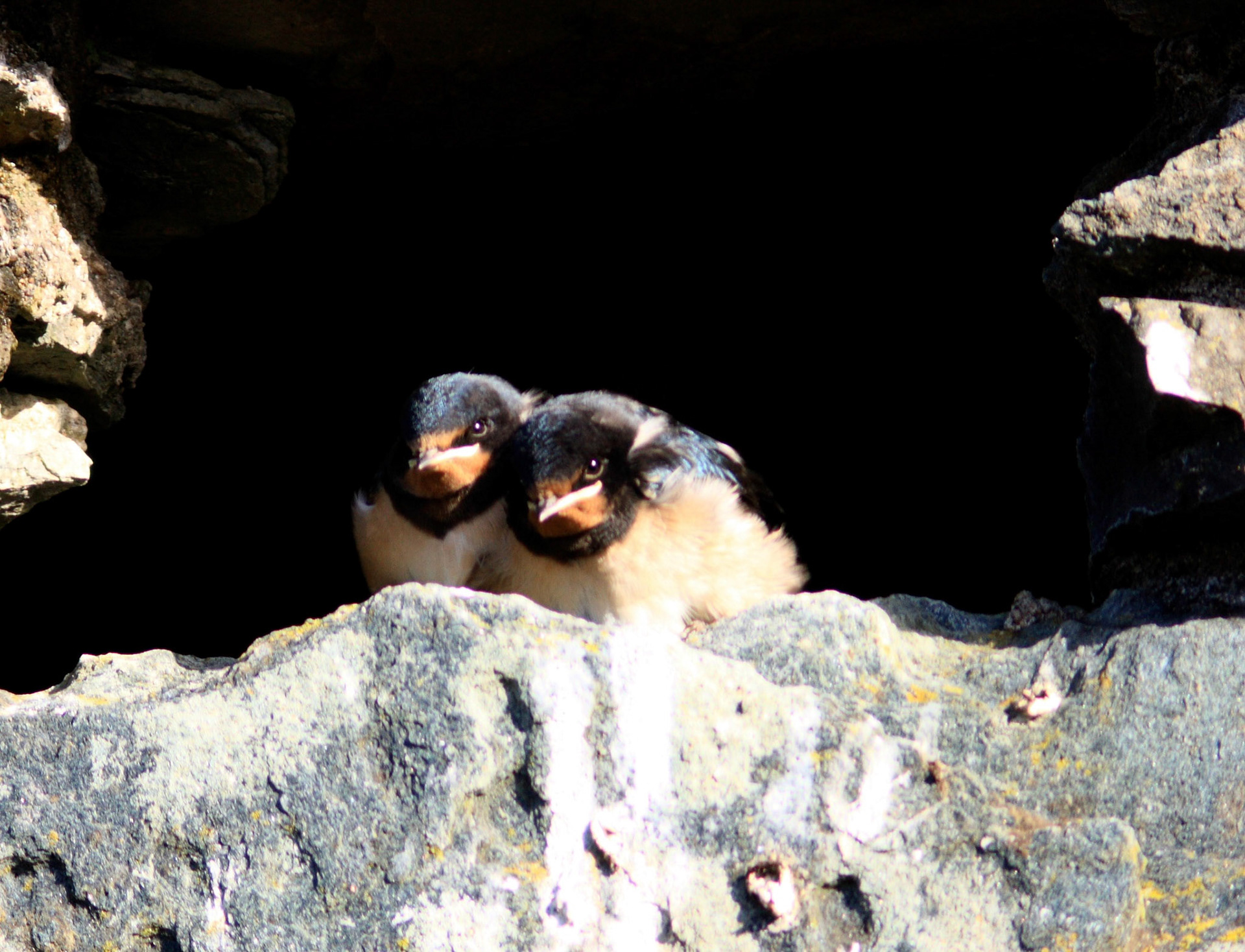 Kilchurn Castle Please see my other Photographs at: http://www.jamespdeans.co.uk/