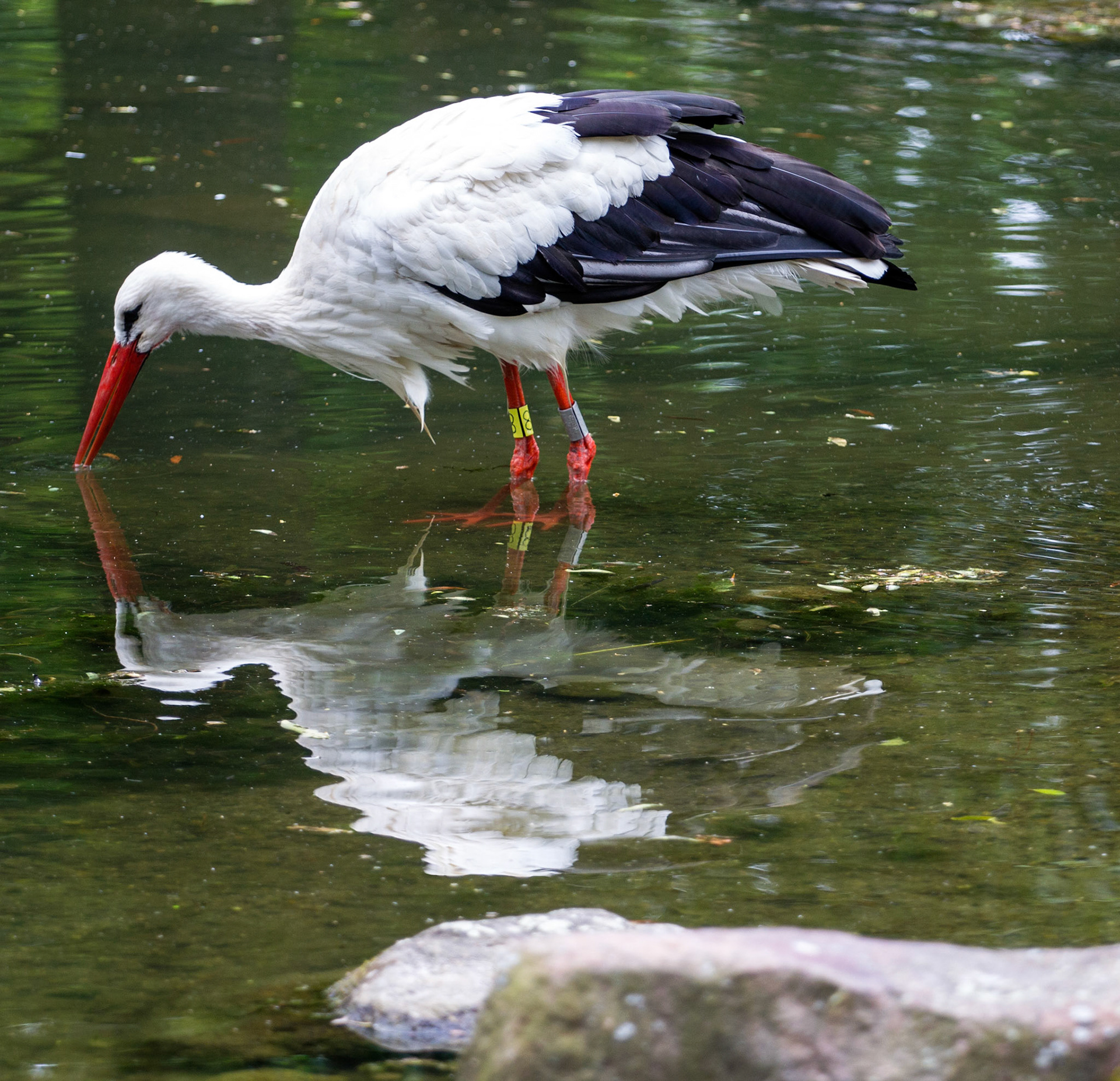 CernayPlease see my other Photographs at: http://www.jamespdeans.co.uk/