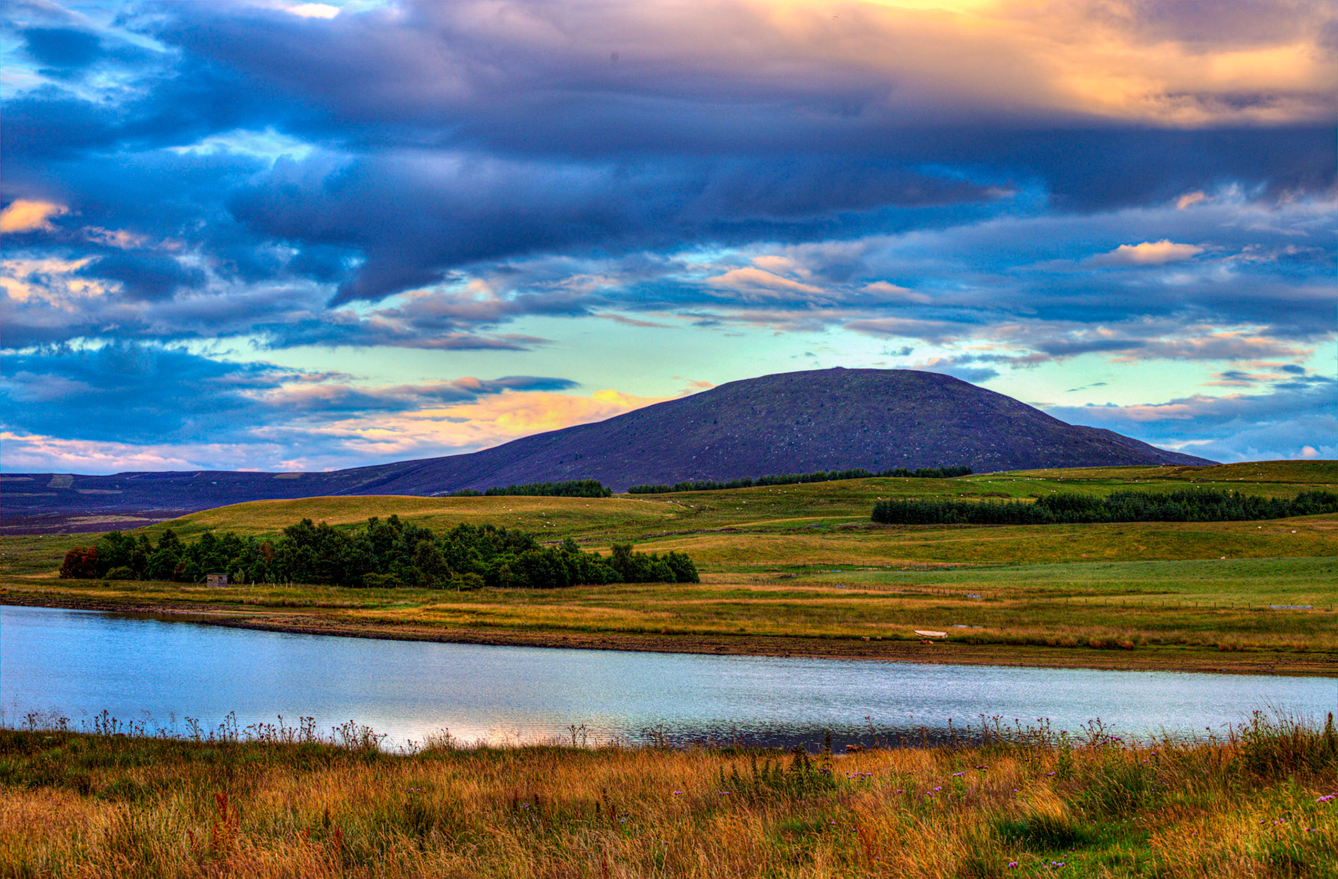 Harperrig 19 July 2023