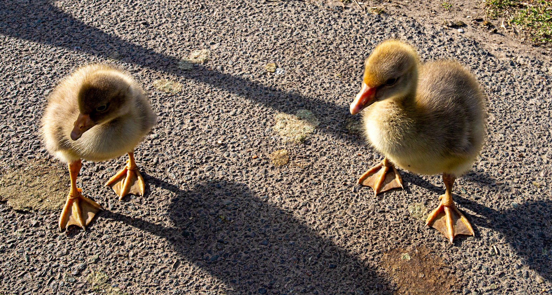 Reading 08 June 2024