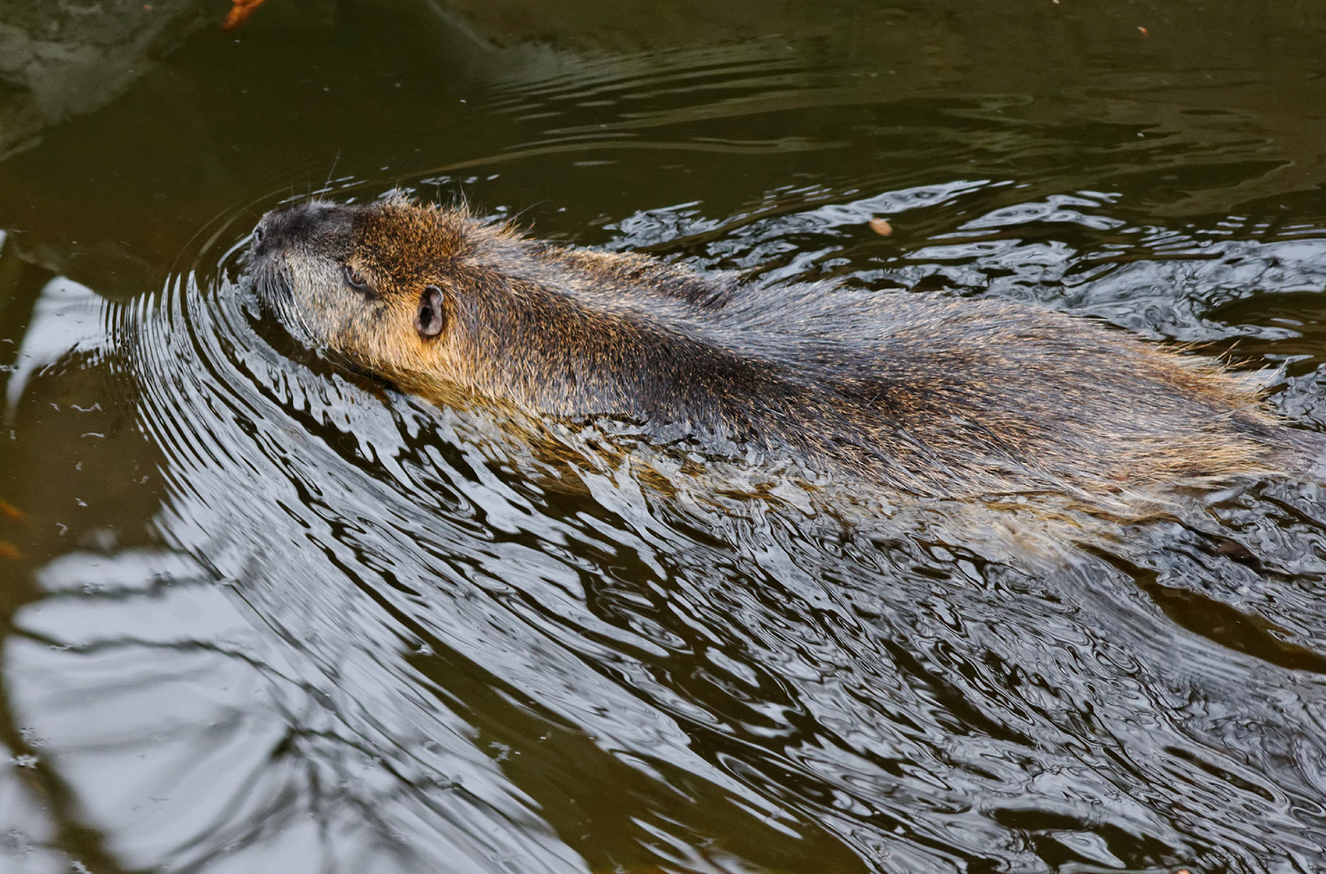 AntwerpPlease see my other Photographs at: http://www.jamespdeans.co.uk/