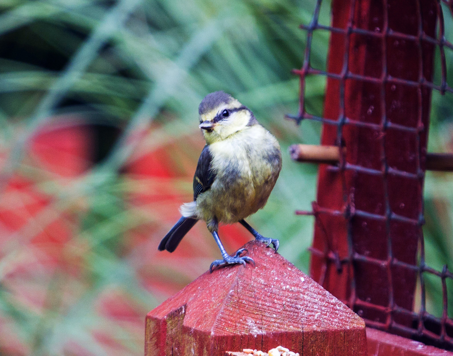 Deans, LivingstonPlease see my other Photographs at: http://www.jamespdeans.co.uk/