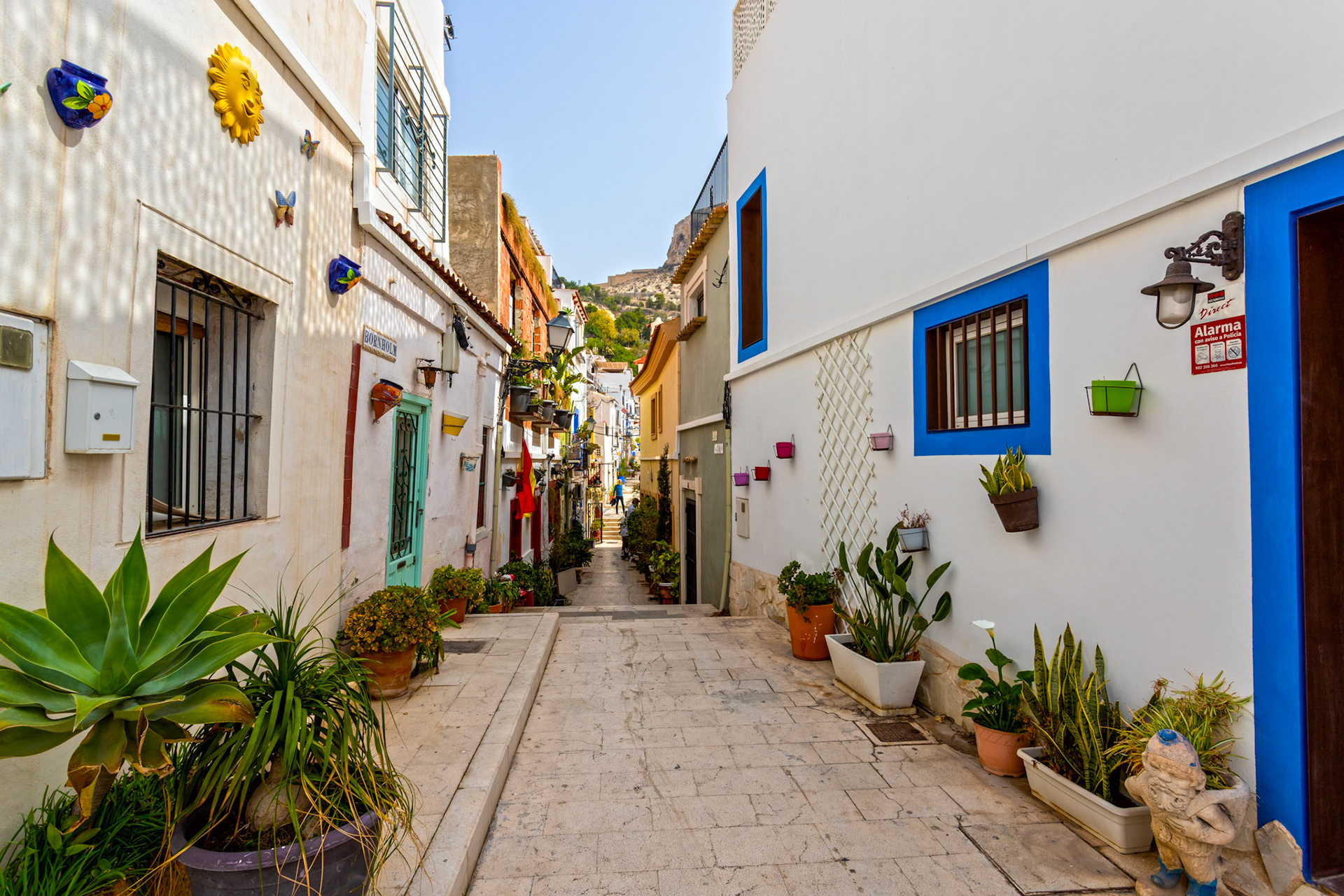 Santa Cruz, Alicante 19 March 2024