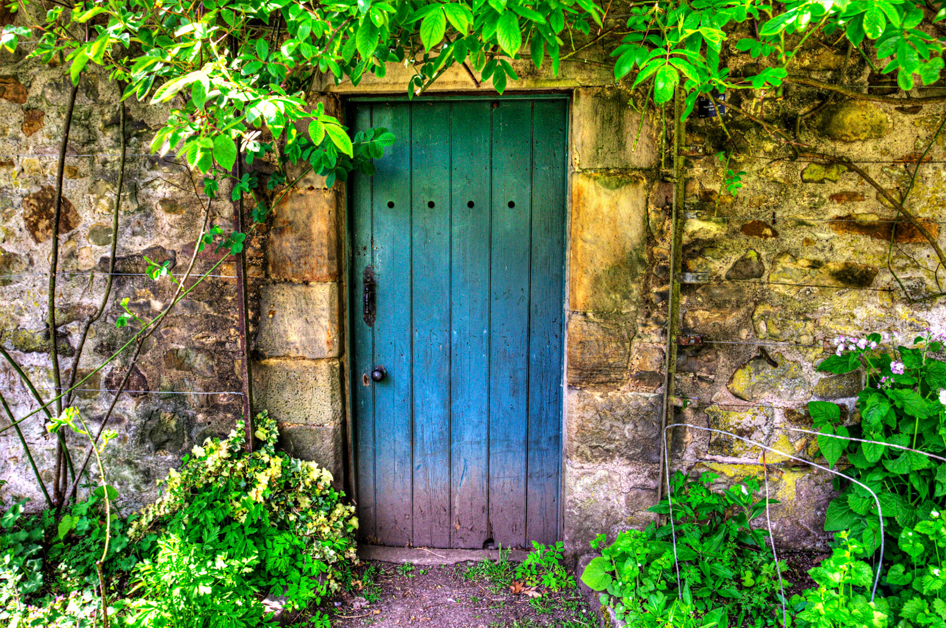 Door in the Wall - Malleny Gardens, Balerno 27 April 2026