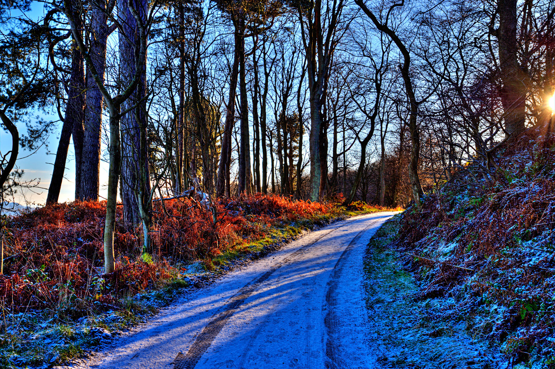 Walk at the Dalmeny Estate - 02 January 2020Please see my other photos at JamesPDeans.co.uk