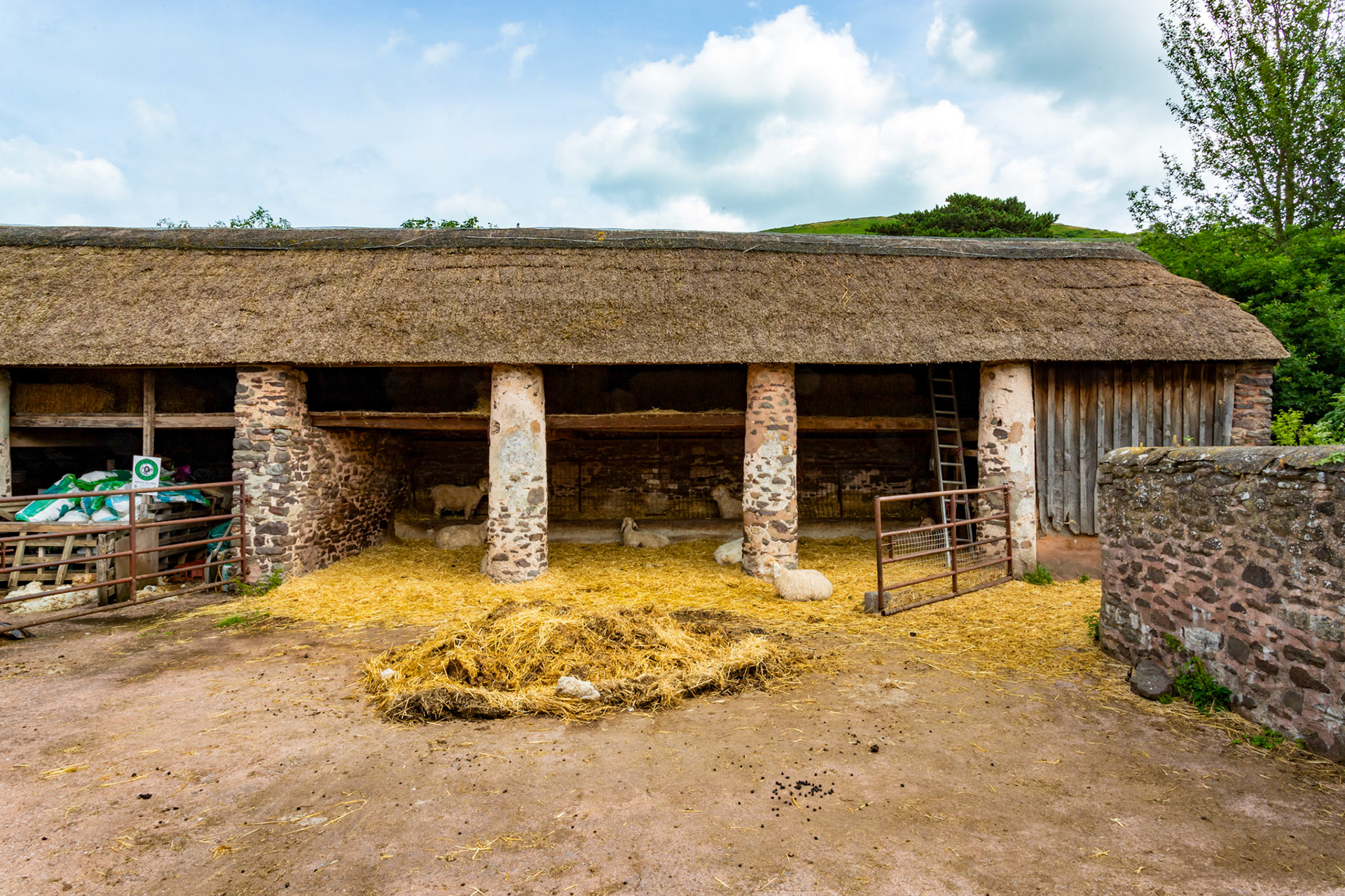 Bossington 23 June 2023