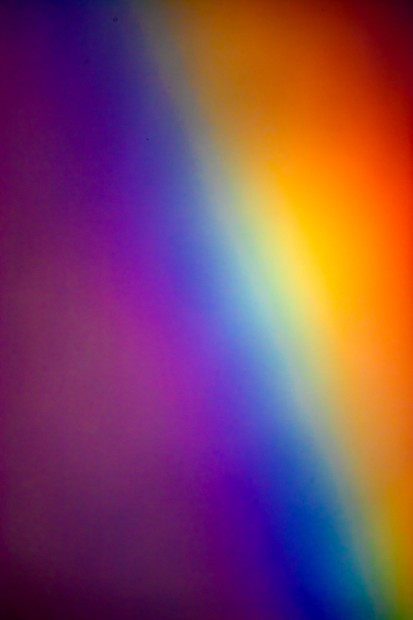 Rainbow Deans 17 October 2024