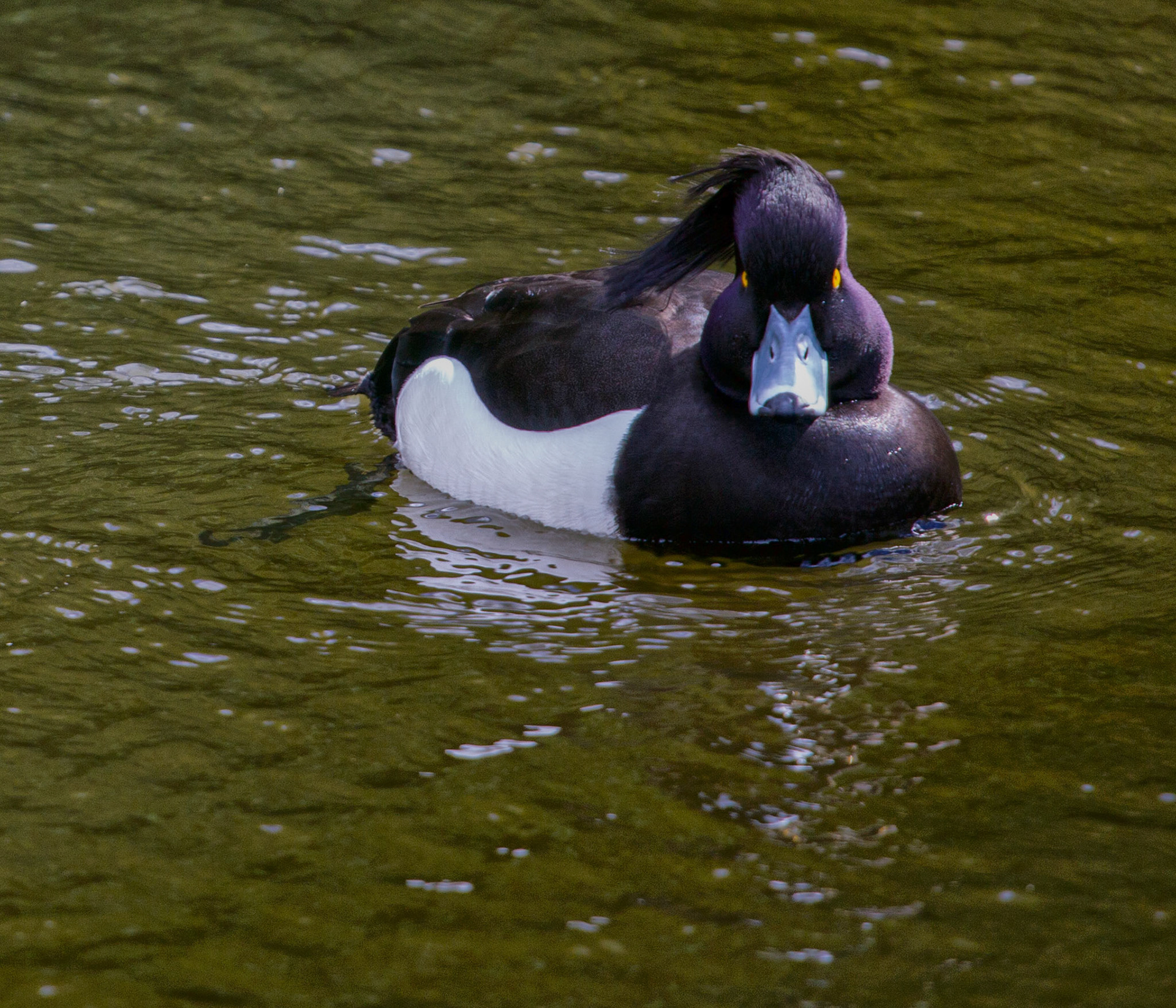 Callendar ParkPlease see my other Photographs at: http://www.jamespdeans.co.uk/