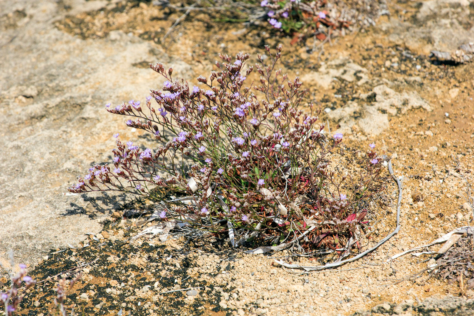 AlcudiaPlease see my other Photographs at: www.jamespdeans.co.uk