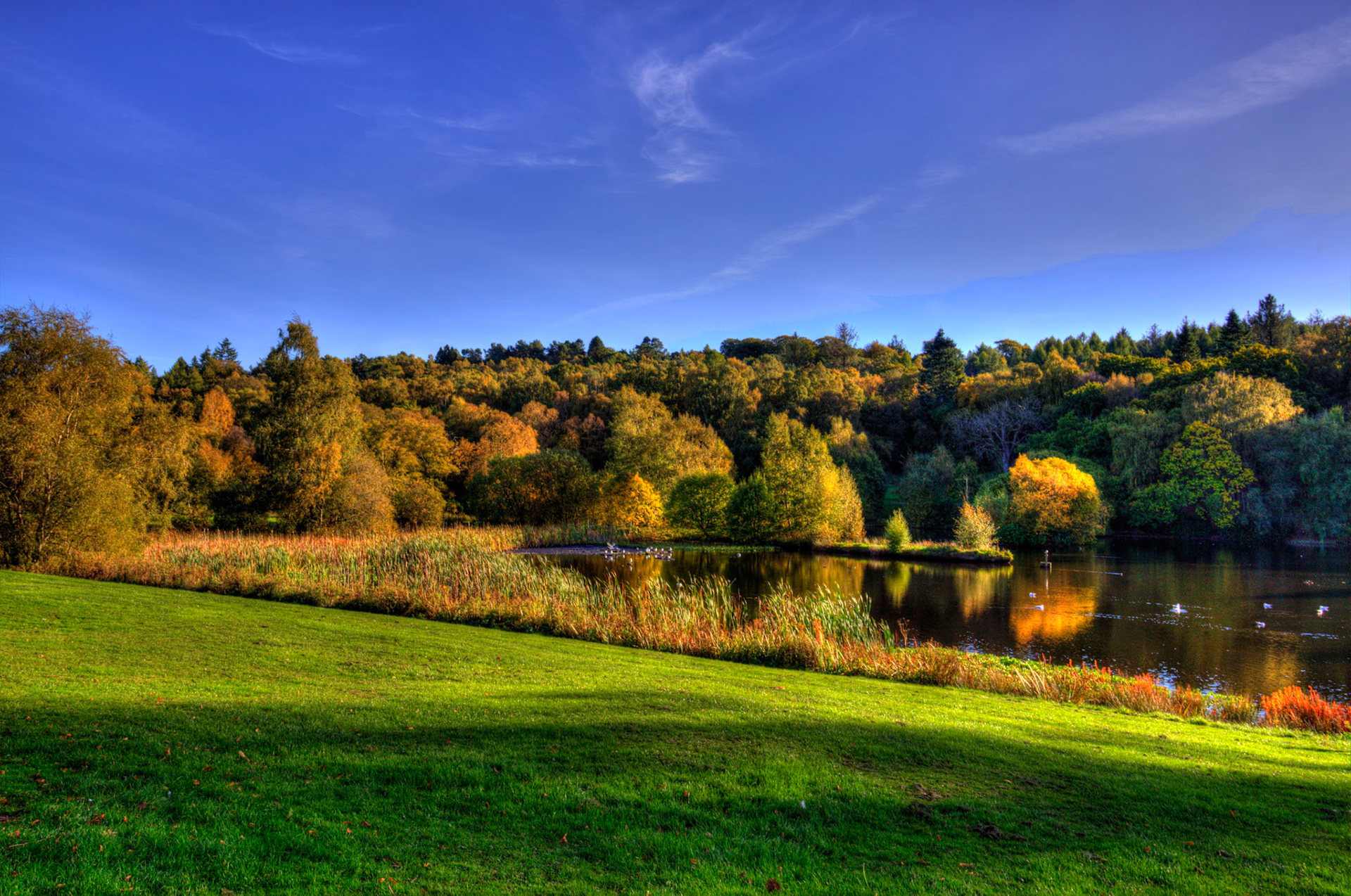 Callendar Park, Falkirk 11 October 2025