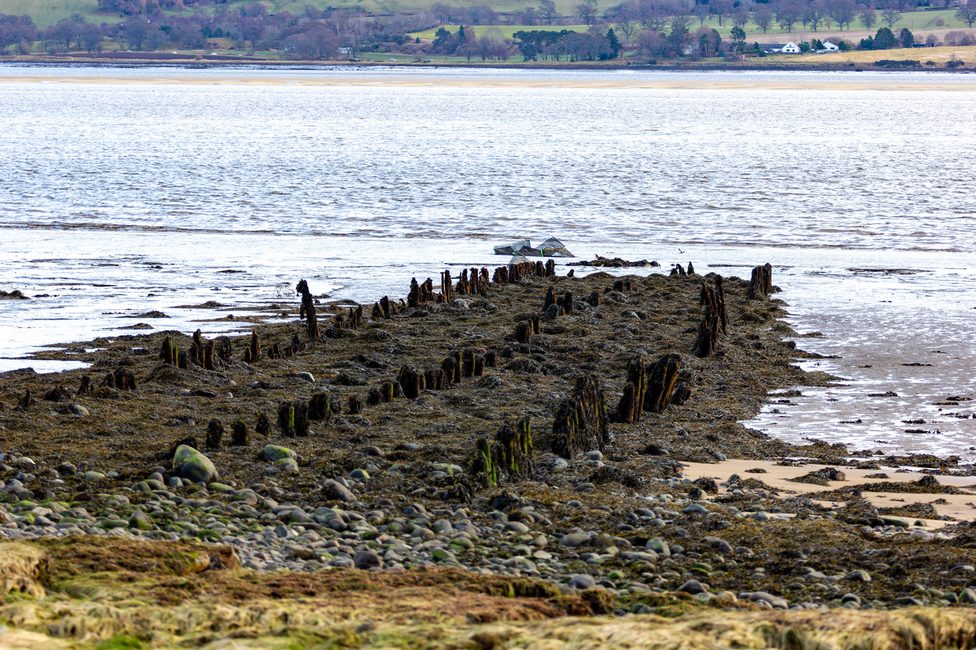 Milton of Redcastle &amp; Beauly Firth at low tide 08 March 2020