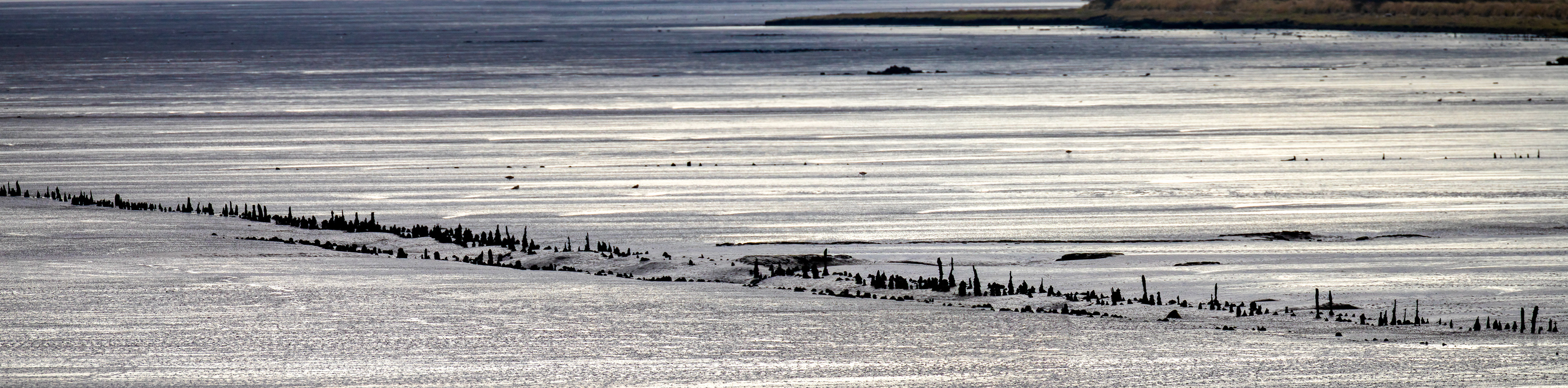 Higgins Neuk 23 Oct 2024