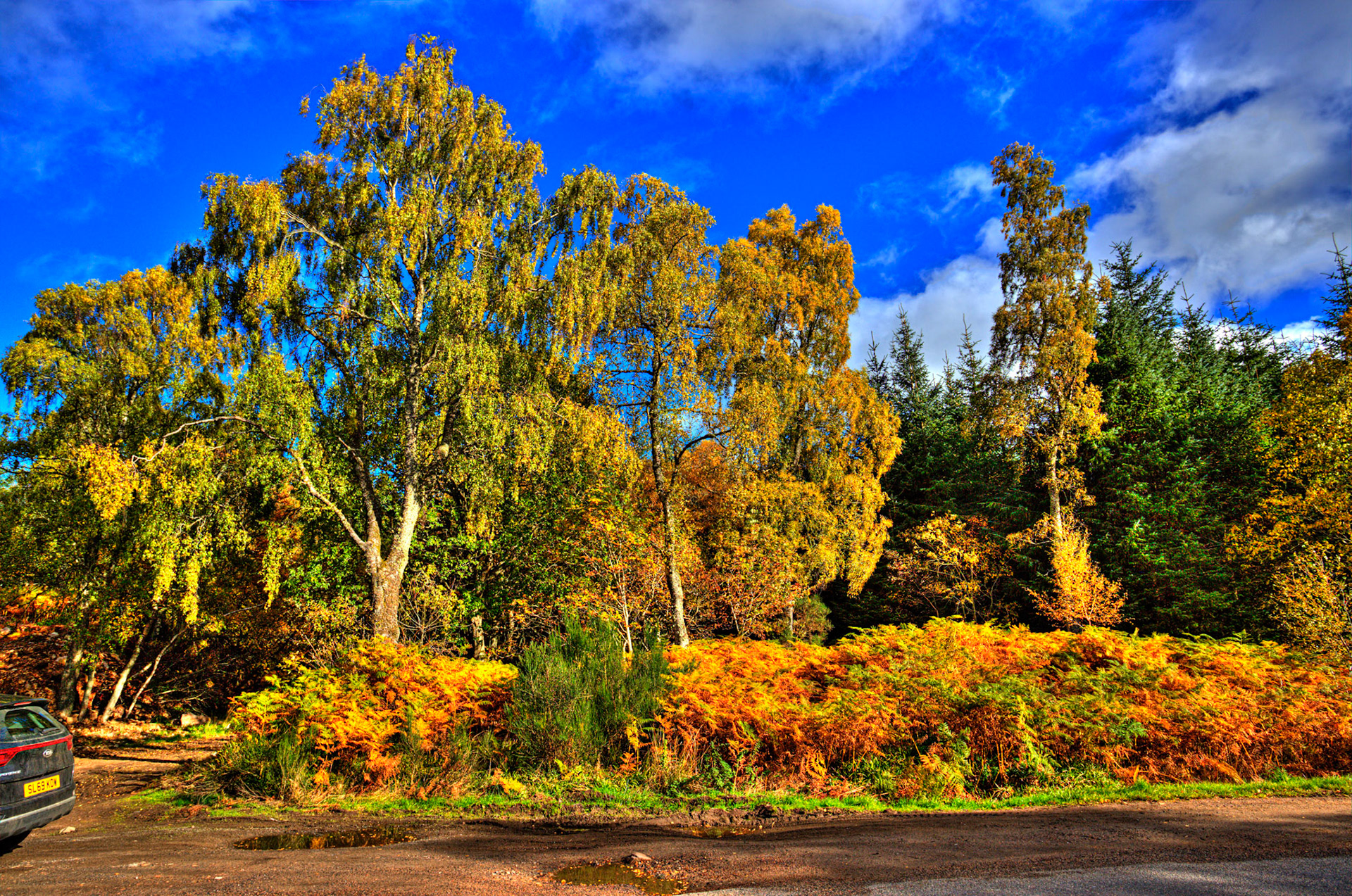 Autumn in Aberdeenshire 14 to 16 October 2022